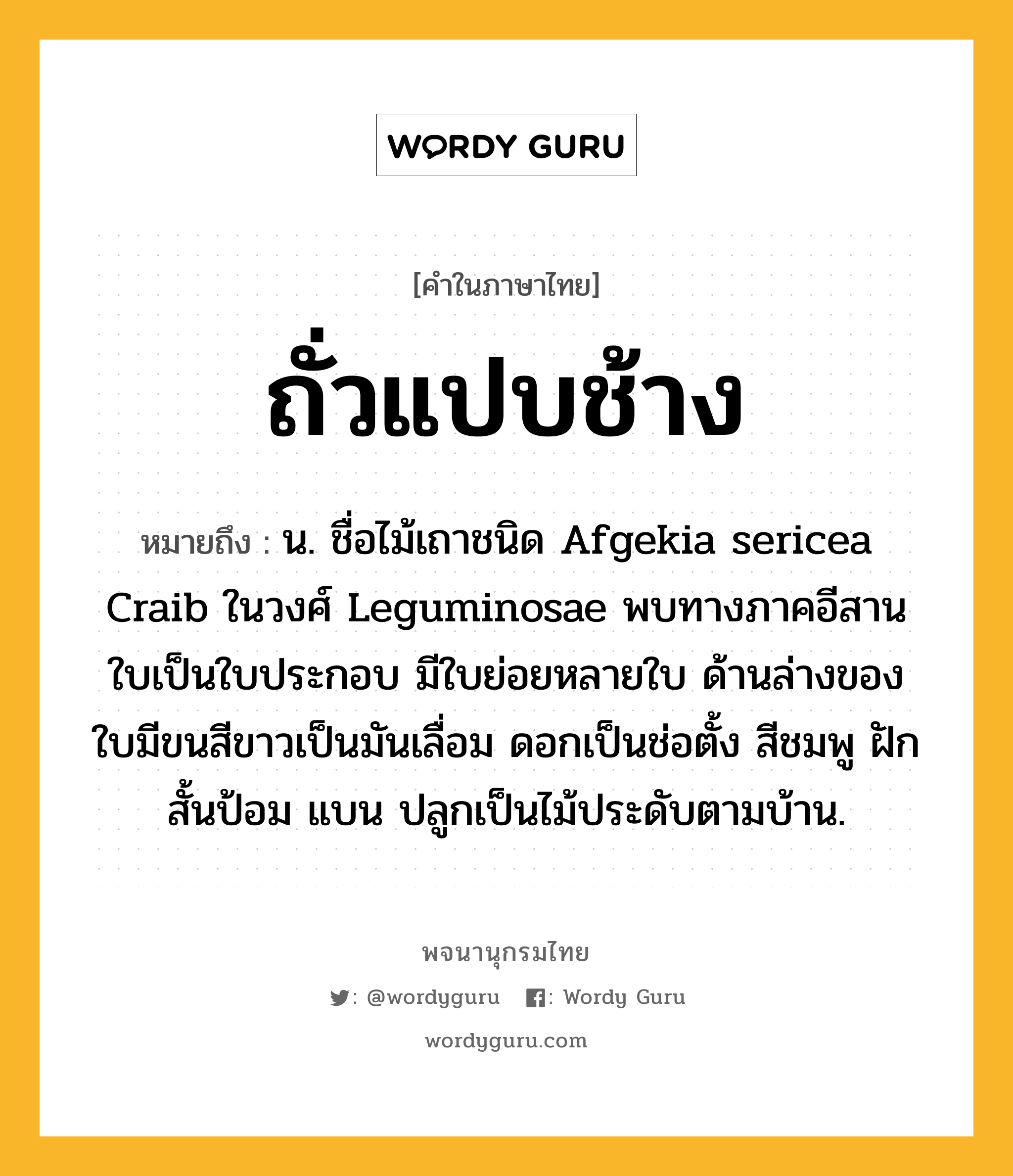 ถั่วแปบช้าง ความหมาย หมายถึงอะไร?, คำในภาษาไทย ถั่วแปบช้าง หมายถึง น. ชื่อไม้เถาชนิด Afgekia sericea Craib ในวงศ์ Leguminosae พบทางภาคอีสาน ใบเป็นใบประกอบ มีใบย่อยหลายใบ ด้านล่างของใบมีขนสีขาวเป็นมันเลื่อม ดอกเป็นช่อตั้ง สีชมพู ฝักสั้นป้อม แบน ปลูกเป็นไม้ประดับตามบ้าน.