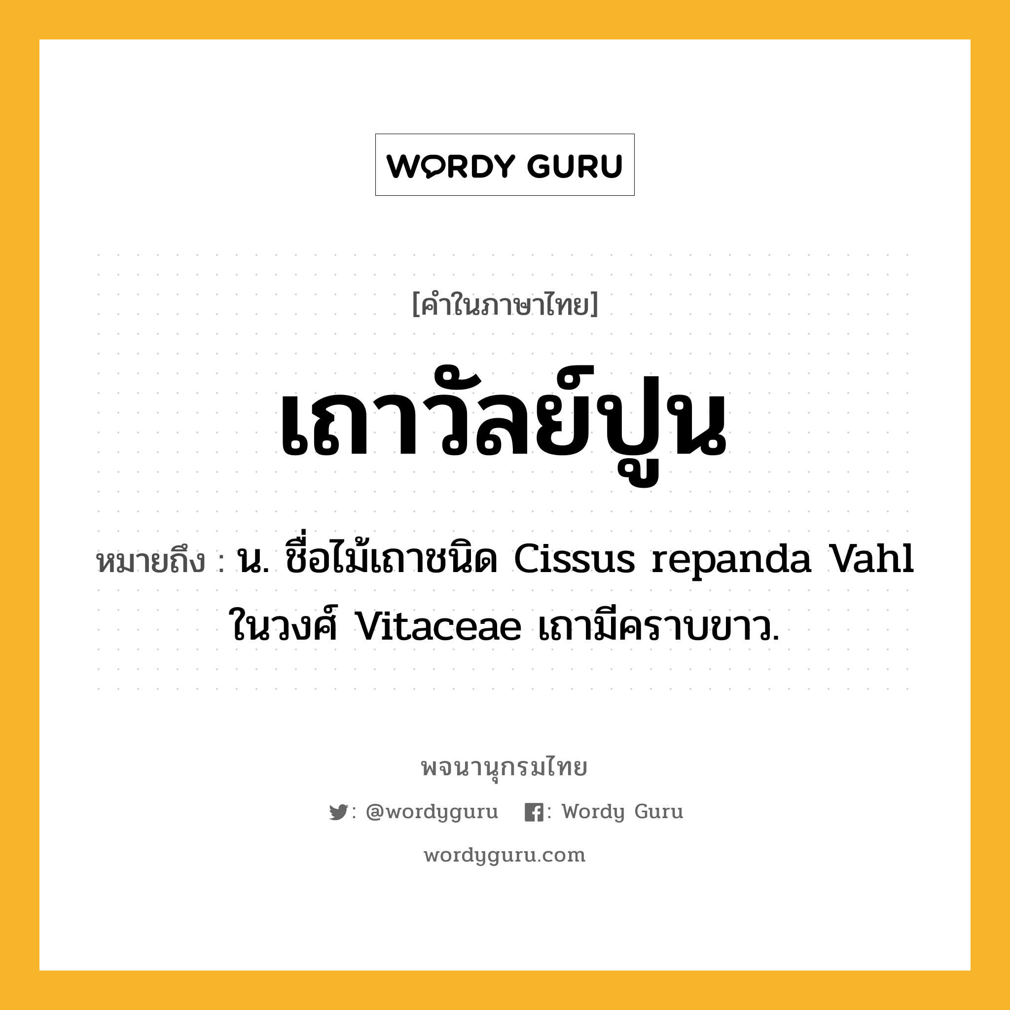 เถาวัลย์ปูน ความหมาย หมายถึงอะไร?, คำในภาษาไทย เถาวัลย์ปูน หมายถึง น. ชื่อไม้เถาชนิด Cissus repanda Vahl ในวงศ์ Vitaceae เถามีคราบขาว.