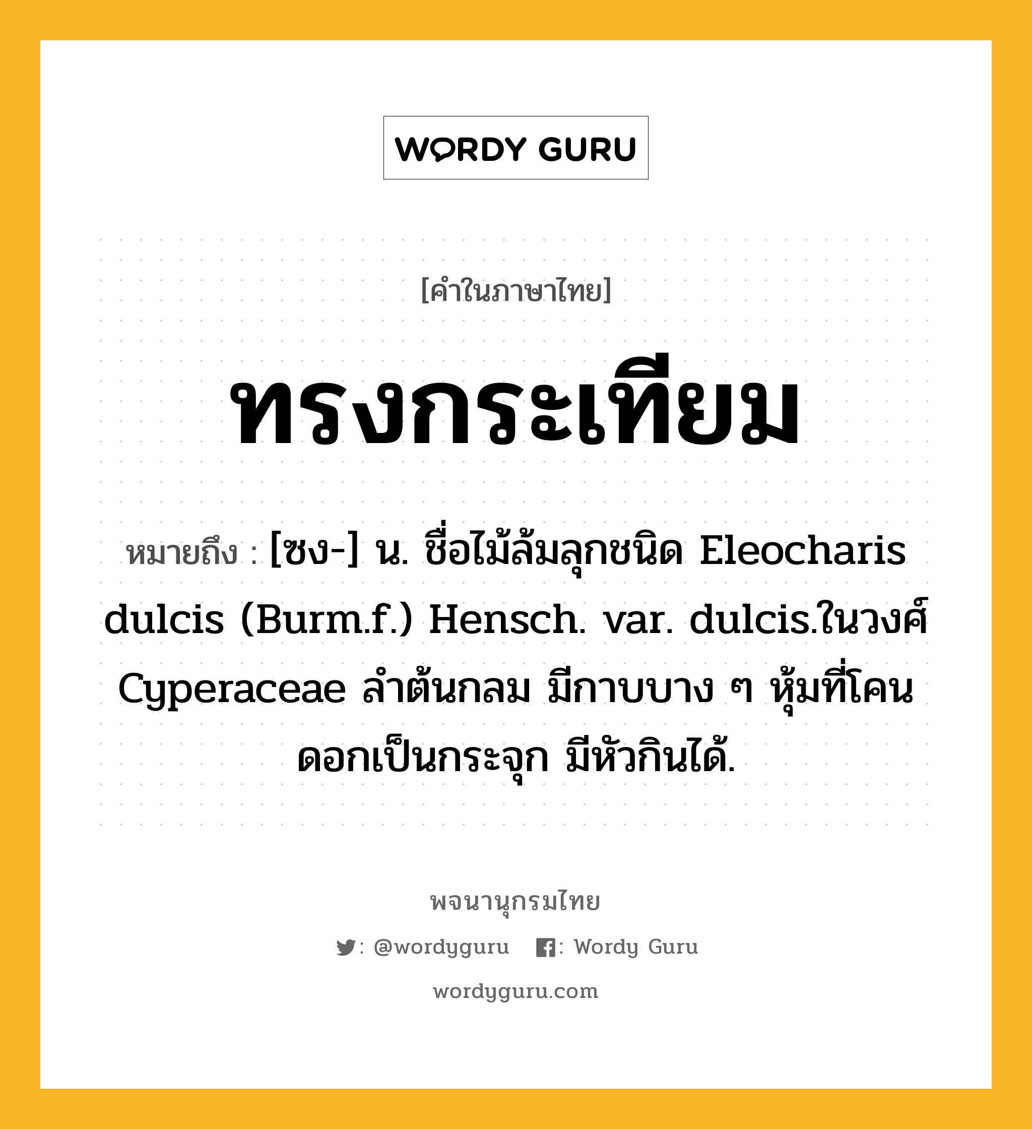 ทรงกระเทียม ความหมาย หมายถึงอะไร?, คำในภาษาไทย ทรงกระเทียม หมายถึง [ซง-] น. ชื่อไม้ล้มลุกชนิด Eleocharis dulcis (Burm.f.) Hensch. var. dulcis.ในวงศ์ Cyperaceae ลําต้นกลม มีกาบบาง ๆ หุ้มที่โคน ดอกเป็นกระจุก มีหัวกินได้.