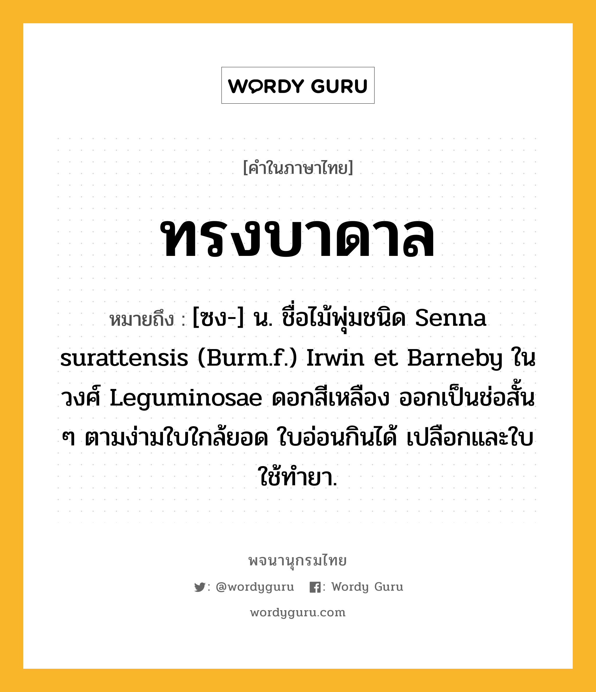 ทรงบาดาล ความหมาย หมายถึงอะไร?, คำในภาษาไทย ทรงบาดาล หมายถึง [ซง-] น. ชื่อไม้พุ่มชนิด Senna surattensis (Burm.f.) Irwin et Barneby ในวงศ์ Leguminosae ดอกสีเหลือง ออกเป็นช่อสั้น ๆ ตามง่ามใบใกล้ยอด ใบอ่อนกินได้ เปลือกและใบใช้ทํายา.