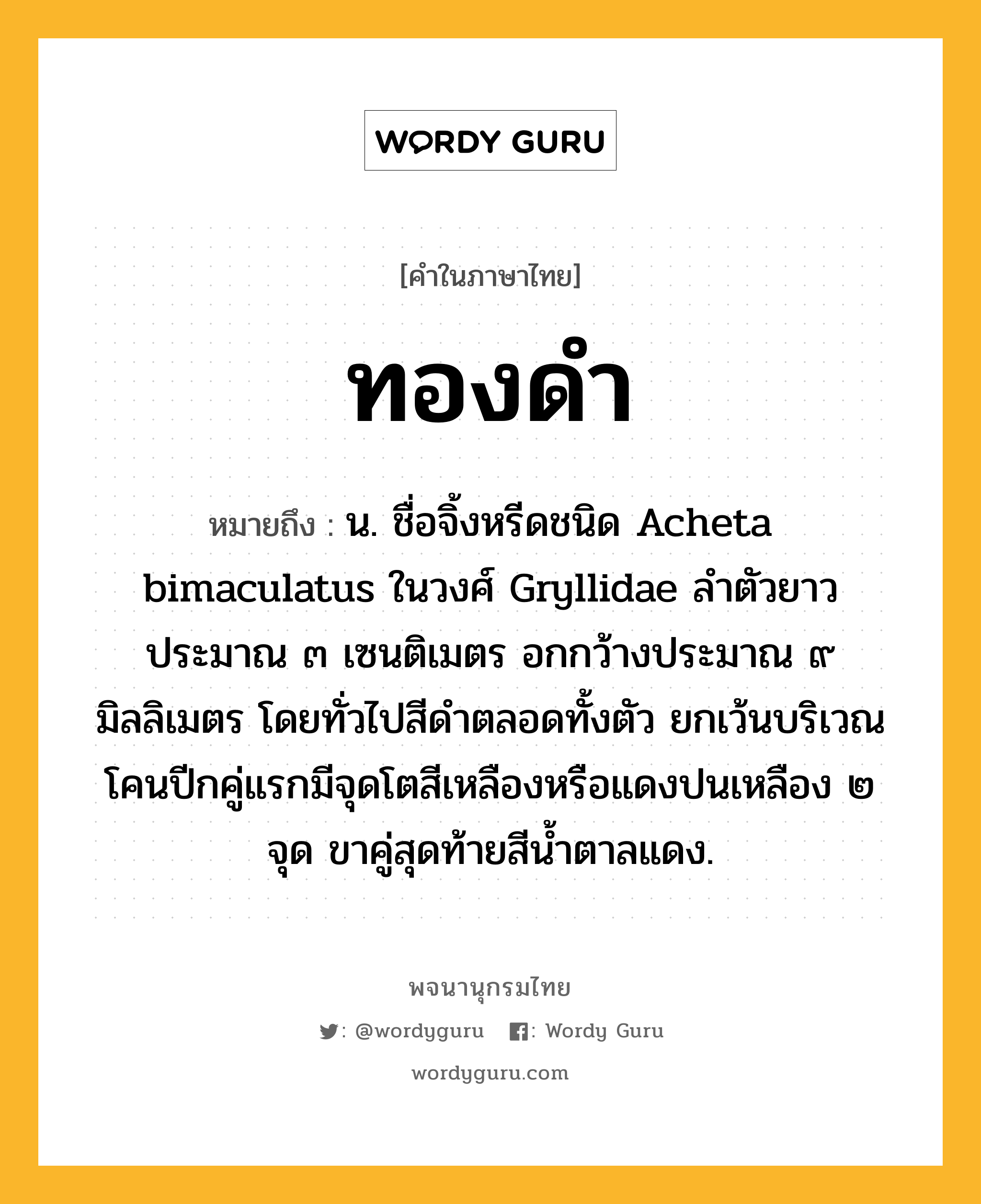 ทองดำ ความหมาย หมายถึงอะไร?, คำในภาษาไทย ทองดำ หมายถึง น. ชื่อจิ้งหรีดชนิด Acheta bimaculatus ในวงศ์ Gryllidae ลําตัวยาวประมาณ ๓ เซนติเมตร อกกว้างประมาณ ๙ มิลลิเมตร โดยทั่วไปสีดําตลอดทั้งตัว ยกเว้นบริเวณโคนปีกคู่แรกมีจุดโตสีเหลืองหรือแดงปนเหลือง ๒ จุด ขาคู่สุดท้ายสีนํ้าตาลแดง.