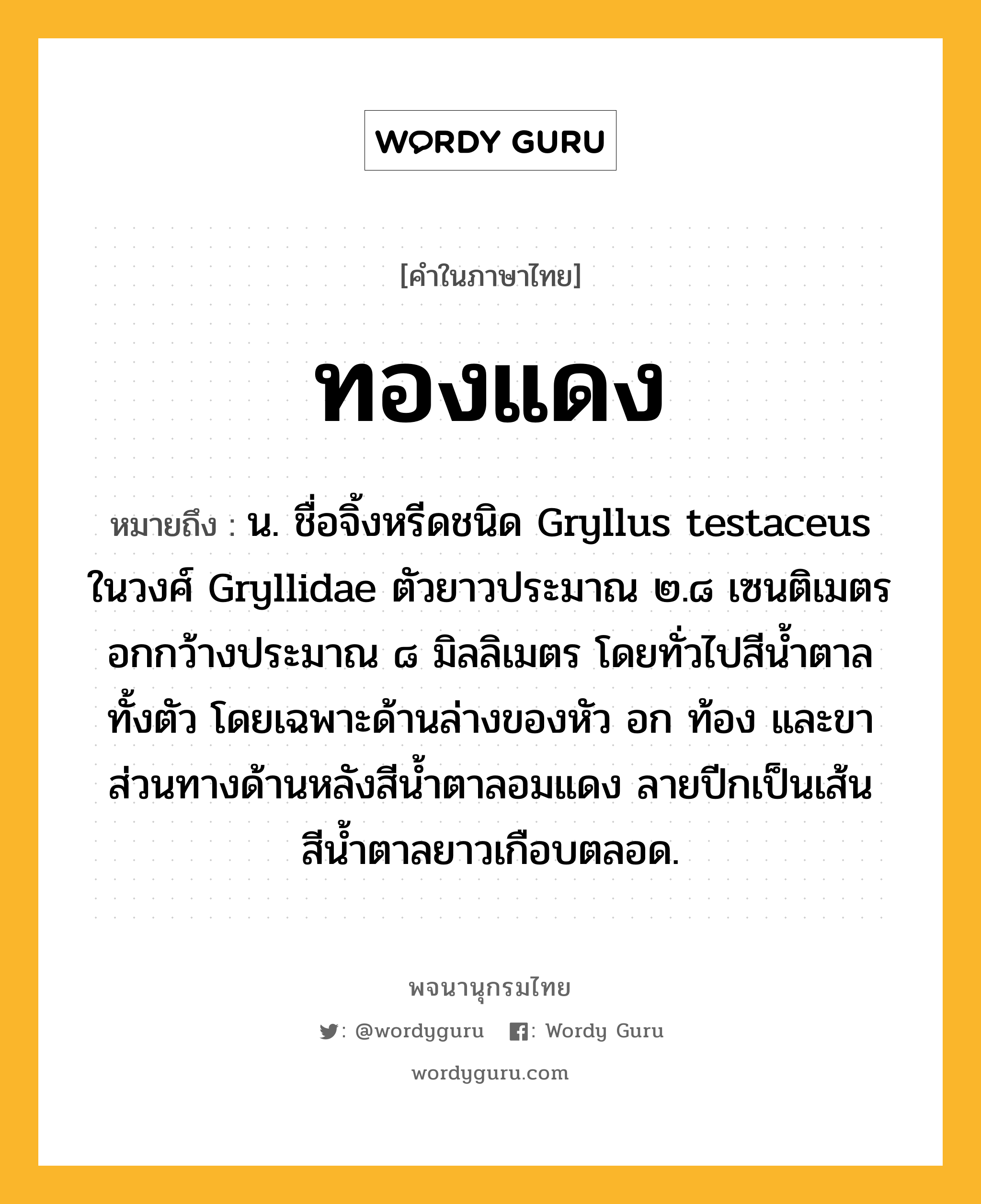 ทองแดง ความหมาย หมายถึงอะไร?, คำในภาษาไทย ทองแดง หมายถึง น. ชื่อจิ้งหรีดชนิด Gryllus testaceus ในวงศ์ Gryllidae ตัวยาวประมาณ ๒.๘ เซนติเมตร อกกว้างประมาณ ๘ มิลลิเมตร โดยทั่วไปสีนํ้าตาลทั้งตัว โดยเฉพาะด้านล่างของหัว อก ท้อง และขา ส่วนทางด้านหลังสีนํ้าตาลอมแดง ลายปีกเป็นเส้นสีนํ้าตาลยาวเกือบตลอด.