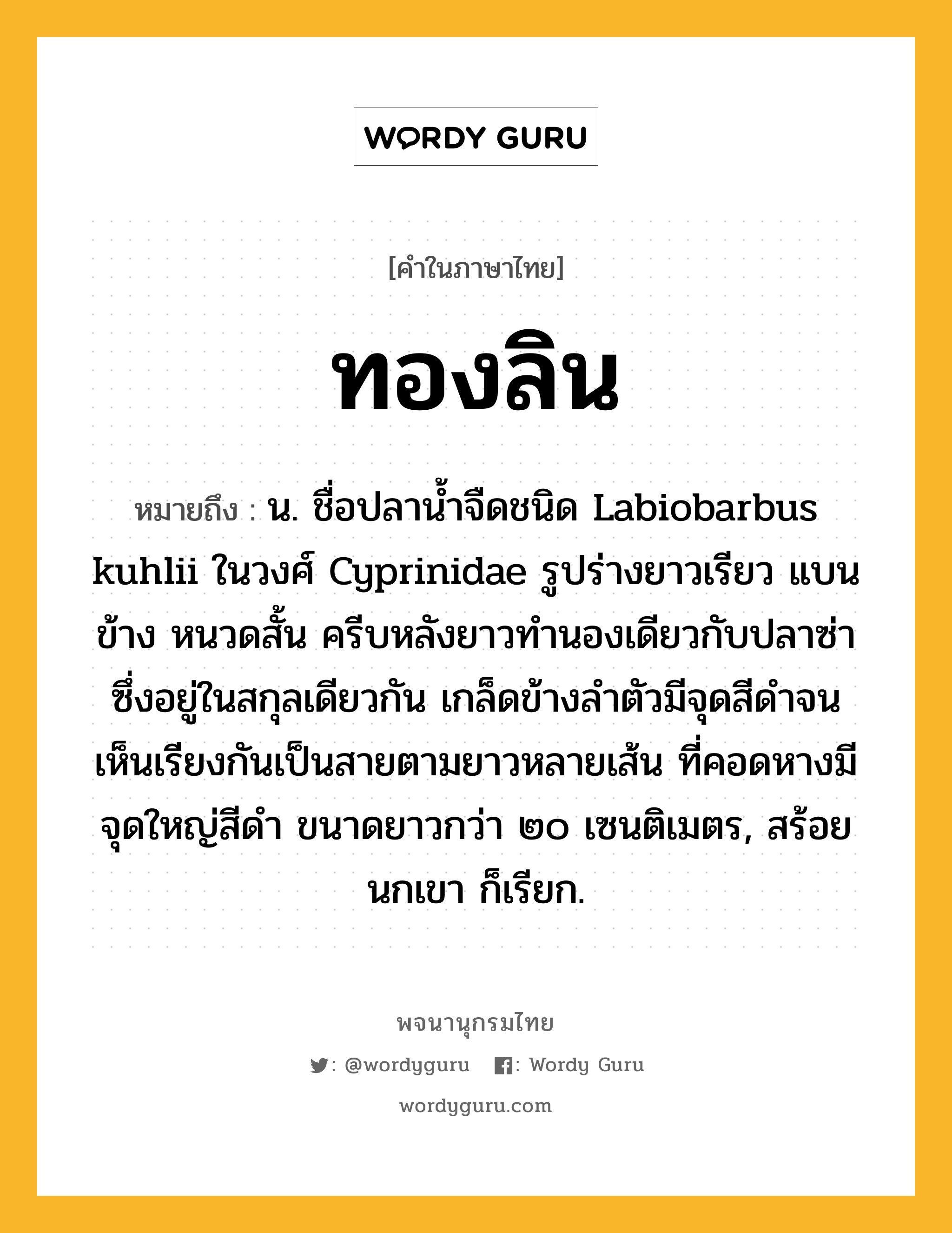 ทองลิน ความหมาย หมายถึงอะไร?, คำในภาษาไทย ทองลิน หมายถึง น. ชื่อปลานํ้าจืดชนิด Labiobarbus kuhlii ในวงศ์ Cyprinidae รูปร่างยาวเรียว แบนข้าง หนวดสั้น ครีบหลังยาวทํานองเดียวกับปลาซ่าซึ่งอยู่ในสกุลเดียวกัน เกล็ดข้างลําตัวมีจุดสีดําจนเห็นเรียงกันเป็นสายตามยาวหลายเส้น ที่คอดหางมีจุดใหญ่สีดํา ขนาดยาวกว่า ๒๐ เซนติเมตร, สร้อยนกเขา ก็เรียก.