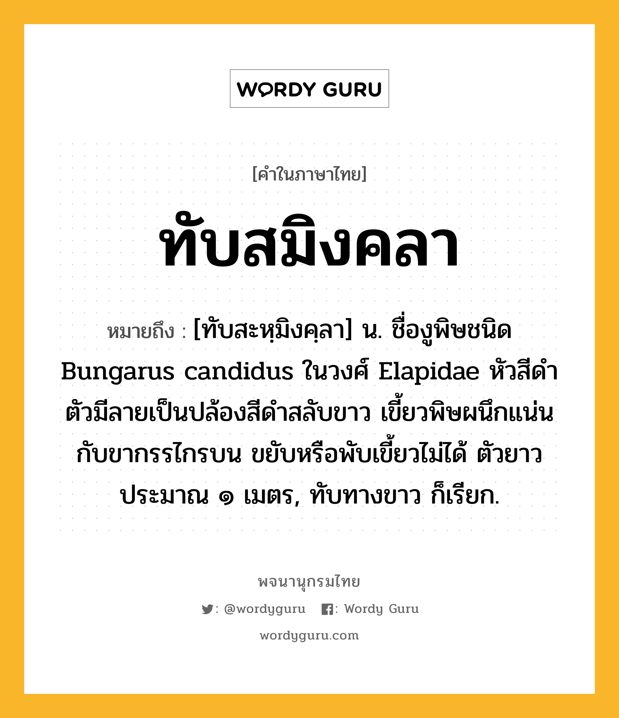 ทับสมิงคลา ความหมาย หมายถึงอะไร?, คำในภาษาไทย ทับสมิงคลา หมายถึง [ทับสะหฺมิงคฺลา] น. ชื่องูพิษชนิด Bungarus candidus ในวงศ์ Elapidae หัวสีดํา ตัวมีลายเป็นปล้องสีดําสลับขาว เขี้ยวพิษผนึกแน่นกับขากรรไกรบน ขยับหรือพับเขี้ยวไม่ได้ ตัวยาวประมาณ ๑ เมตร, ทับทางขาว ก็เรียก.