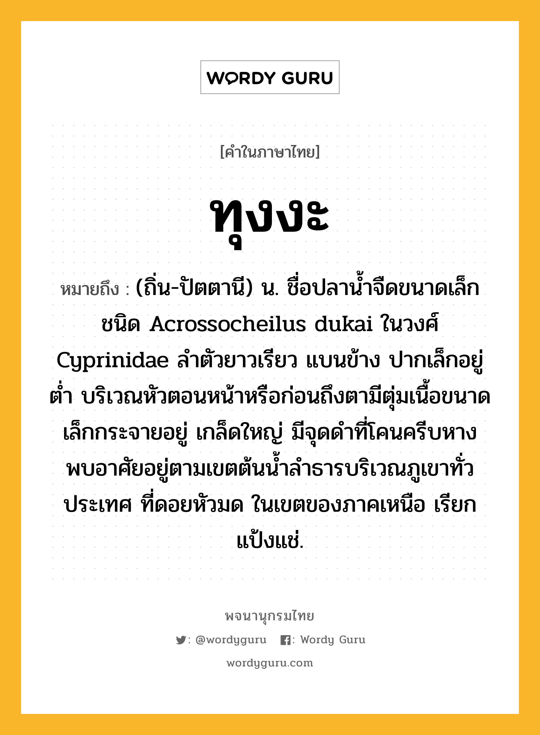 ทุงงะ ความหมาย หมายถึงอะไร?, คำในภาษาไทย ทุงงะ หมายถึง (ถิ่น-ปัตตานี) น. ชื่อปลานํ้าจืดขนาดเล็กชนิด Acrossocheilus dukai ในวงศ์ Cyprinidae ลําตัวยาวเรียว แบนข้าง ปากเล็กอยู่ตํ่า บริเวณหัวตอนหน้าหรือก่อนถึงตามีตุ่มเนื้อขนาดเล็กกระจายอยู่ เกล็ดใหญ่ มีจุดดําที่โคนครีบหาง พบอาศัยอยู่ตามเขตต้นนํ้าลําธารบริเวณภูเขาทั่วประเทศ ที่ดอยหัวมด ในเขตของภาคเหนือ เรียก แป้งแช่.