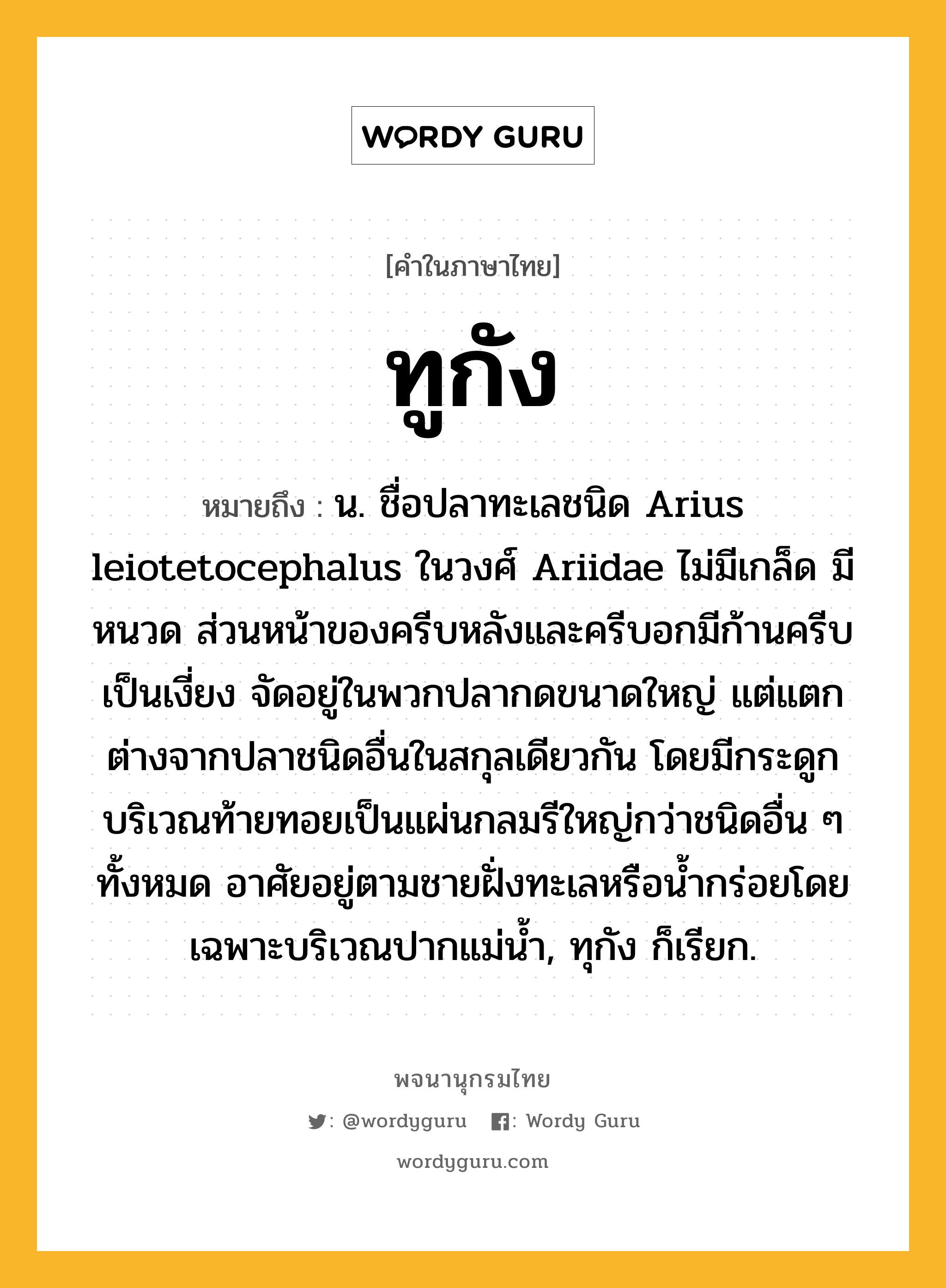 ทูกัง ความหมาย หมายถึงอะไร?, คำในภาษาไทย ทูกัง หมายถึง น. ชื่อปลาทะเลชนิด Arius leiotetocephalus ในวงศ์ Ariidae ไม่มีเกล็ด มีหนวด ส่วนหน้าของครีบหลังและครีบอกมีก้านครีบเป็นเงี่ยง จัดอยู่ในพวกปลากดขนาดใหญ่ แต่แตกต่างจากปลาชนิดอื่นในสกุลเดียวกัน โดยมีกระดูกบริเวณท้ายทอยเป็นแผ่นกลมรีใหญ่กว่าชนิดอื่น ๆ ทั้งหมด อาศัยอยู่ตามชายฝั่งทะเลหรือนํ้ากร่อยโดยเฉพาะบริเวณปากแม่นํ้า, ทุกัง ก็เรียก.