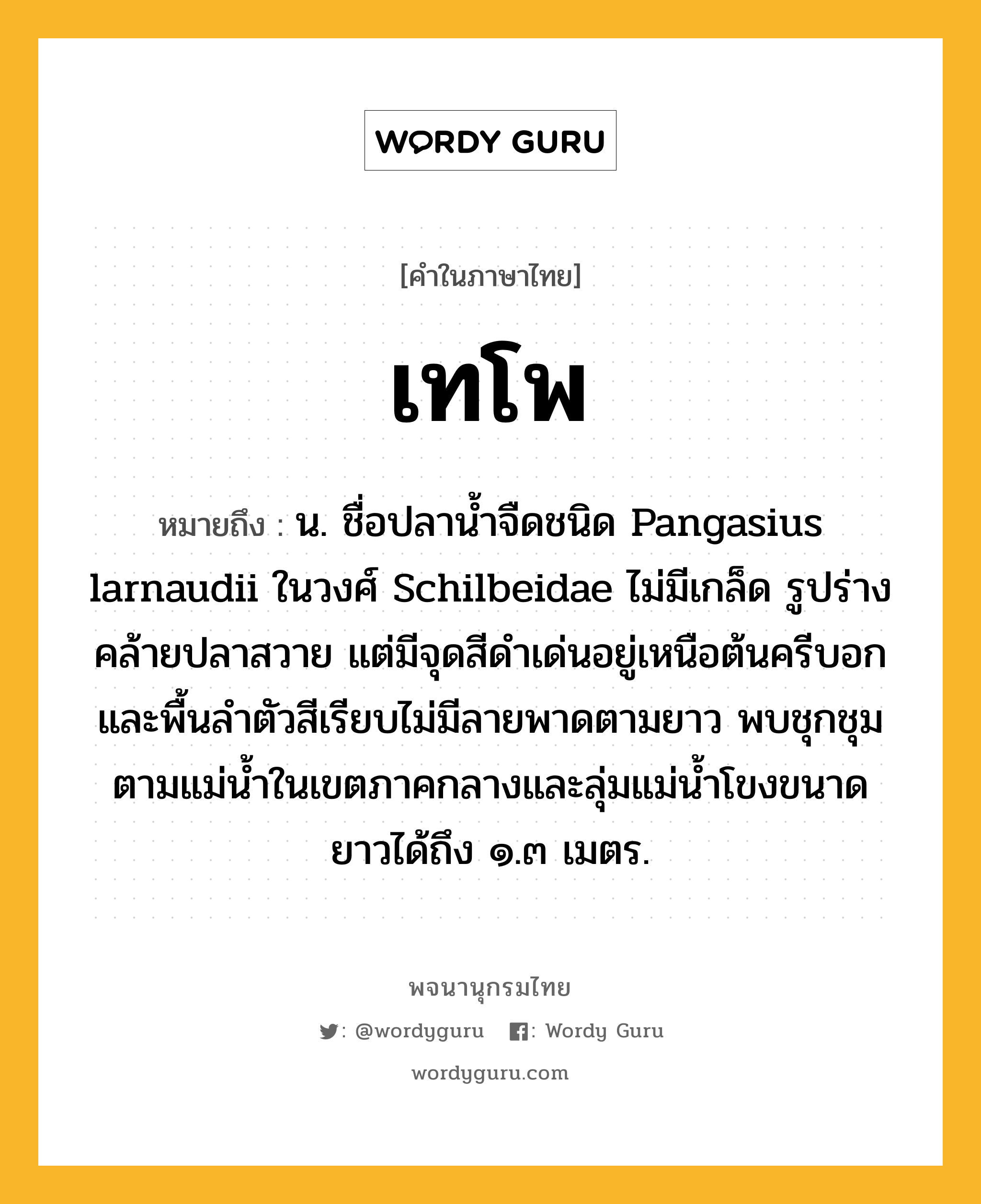 เทโพ ความหมาย หมายถึงอะไร?, คำในภาษาไทย เทโพ หมายถึง น. ชื่อปลานํ้าจืดชนิด Pangasius larnaudii ในวงศ์ Schilbeidae ไม่มีเกล็ด รูปร่างคล้ายปลาสวาย แต่มีจุดสีดําเด่นอยู่เหนือต้นครีบอก และพื้นลําตัวสีเรียบไม่มีลายพาดตามยาว พบชุกชุมตามแม่นํ้าในเขตภาคกลางและลุ่มแม่นํ้าโขงขนาดยาวได้ถึง ๑.๓ เมตร.