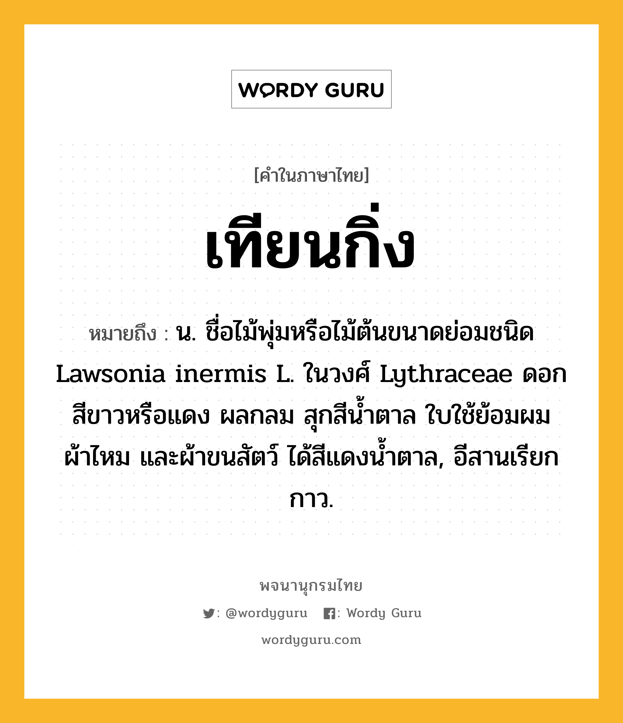 เทียนกิ่ง ความหมาย หมายถึงอะไร?, คำในภาษาไทย เทียนกิ่ง หมายถึง น. ชื่อไม้พุ่มหรือไม้ต้นขนาดย่อมชนิด Lawsonia inermis L. ในวงศ์ Lythraceae ดอกสีขาวหรือแดง ผลกลม สุกสีนํ้าตาล ใบใช้ย้อมผม ผ้าไหม และผ้าขนสัตว์ ได้สีแดงนํ้าตาล, อีสานเรียก กาว.