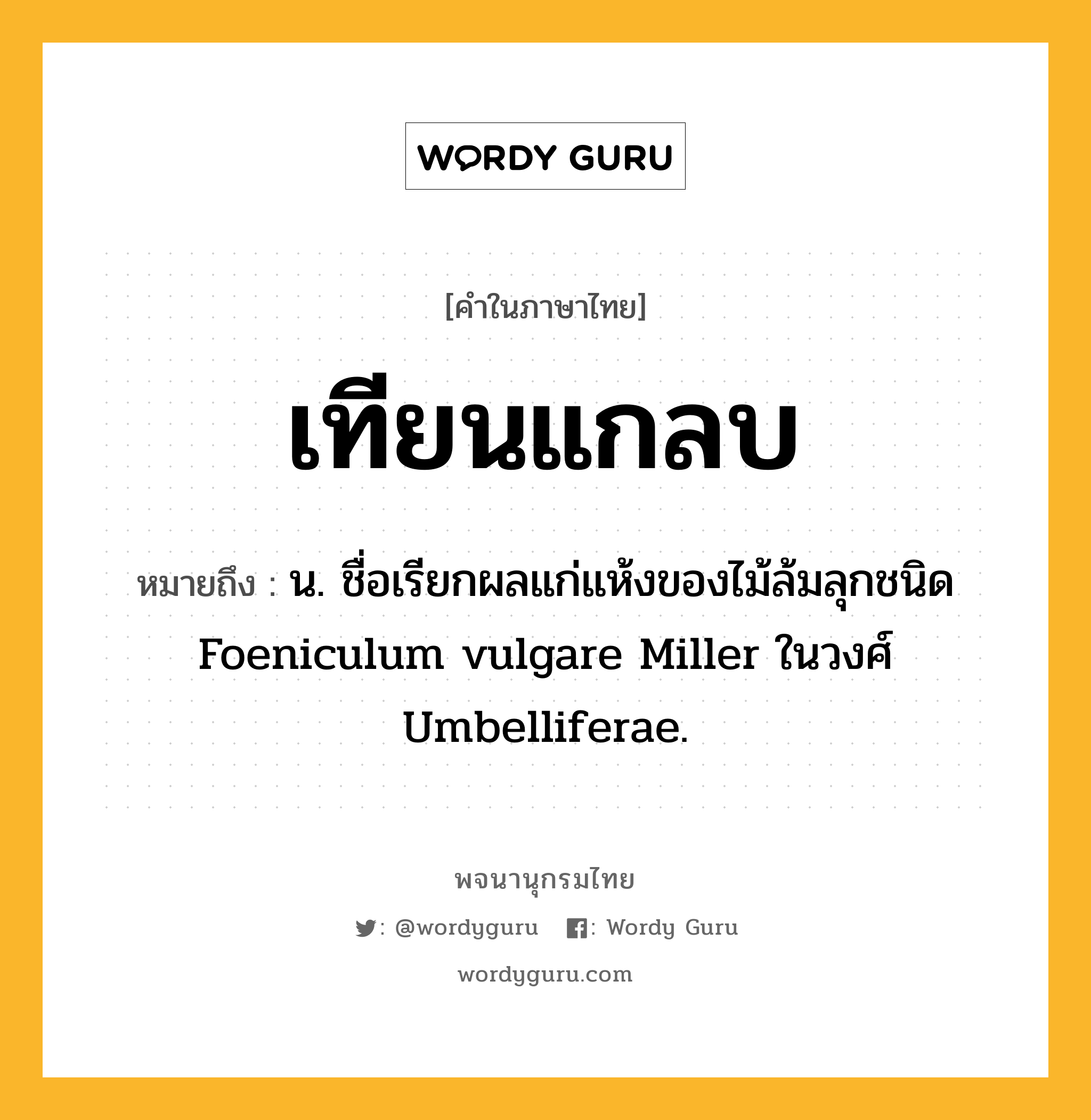 เทียนแกลบ ความหมาย หมายถึงอะไร?, คำในภาษาไทย เทียนแกลบ หมายถึง น. ชื่อเรียกผลแก่แห้งของไม้ล้มลุกชนิด Foeniculum vulgare Miller ในวงศ์ Umbelliferae.