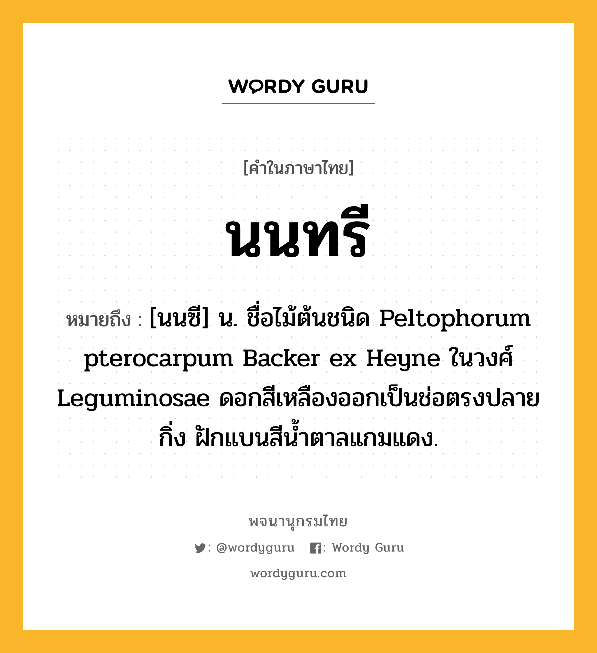 นนทรี ความหมาย หมายถึงอะไร?, คำในภาษาไทย นนทรี หมายถึง [นนซี] น. ชื่อไม้ต้นชนิด Peltophorum pterocarpum Backer ex Heyne ในวงศ์ Leguminosae ดอกสีเหลืองออกเป็นช่อตรงปลายกิ่ง ฝักแบนสีนํ้าตาลแกมแดง.