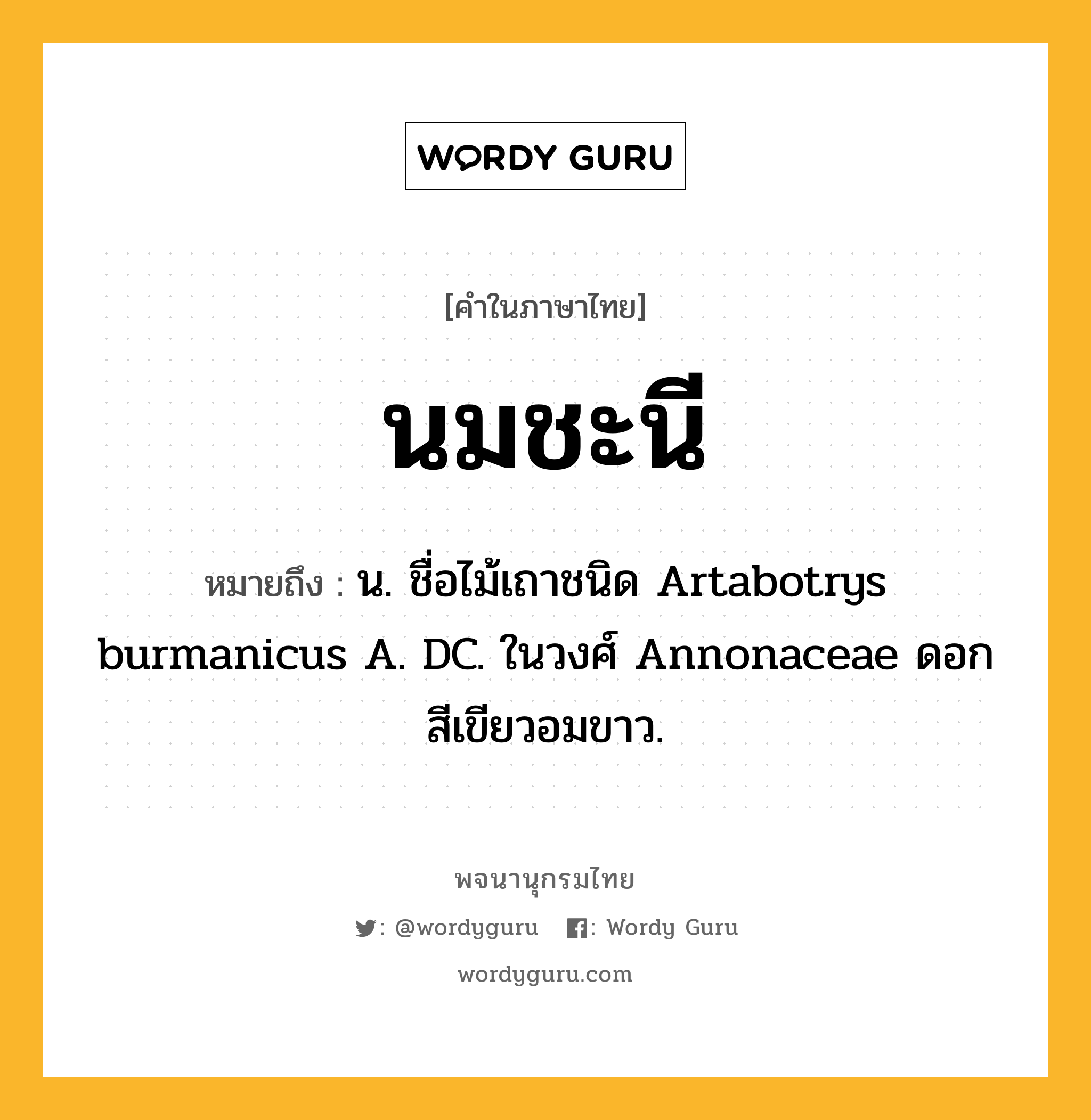 นมชะนี ความหมาย หมายถึงอะไร?, คำในภาษาไทย นมชะนี หมายถึง น. ชื่อไม้เถาชนิด Artabotrys burmanicus A. DC. ในวงศ์ Annonaceae ดอกสีเขียวอมขาว.