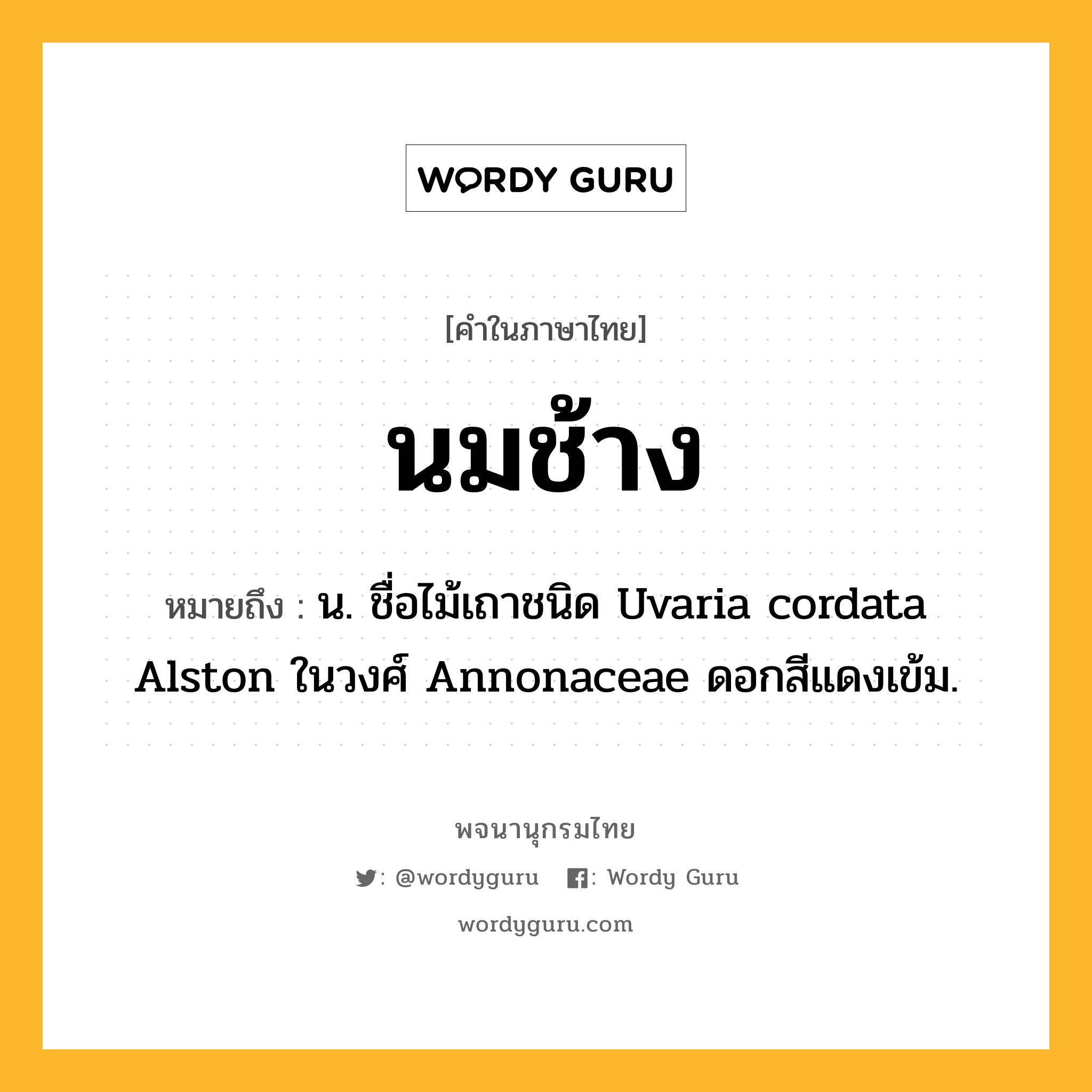 นมช้าง ความหมาย หมายถึงอะไร?, คำในภาษาไทย นมช้าง หมายถึง น. ชื่อไม้เถาชนิด Uvaria cordata Alston ในวงศ์ Annonaceae ดอกสีแดงเข้ม.