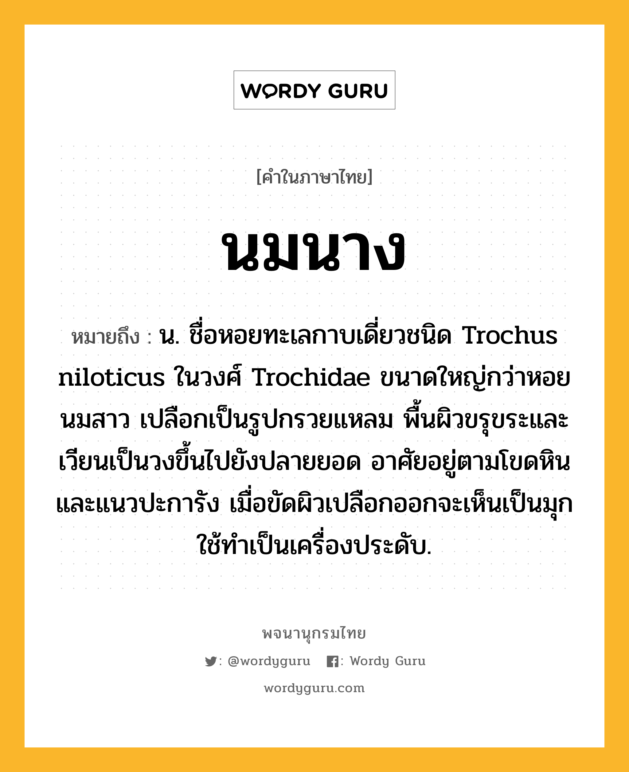 นมนาง ความหมาย หมายถึงอะไร?, คำในภาษาไทย นมนาง หมายถึง น. ชื่อหอยทะเลกาบเดี่ยวชนิด Trochus niloticus ในวงศ์ Trochidae ขนาดใหญ่กว่าหอยนมสาว เปลือกเป็นรูปกรวยแหลม พื้นผิวขรุขระและเวียนเป็นวงขึ้นไปยังปลายยอด อาศัยอยู่ตามโขดหินและแนวปะการัง เมื่อขัดผิวเปลือกออกจะเห็นเป็นมุก ใช้ทำเป็นเครื่องประดับ.