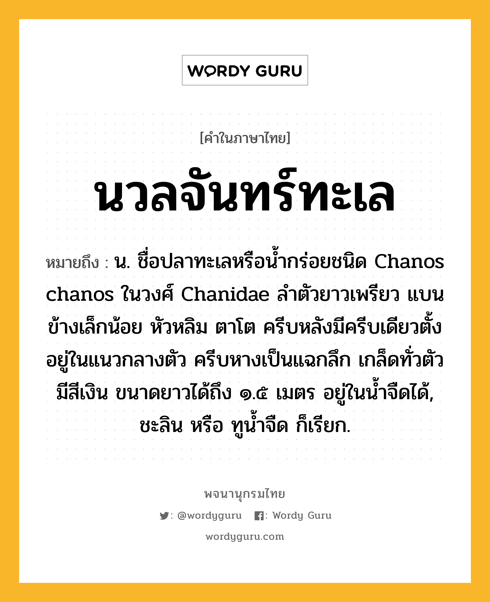 นวลจันทร์ทะเล ความหมาย หมายถึงอะไร?, คำในภาษาไทย นวลจันทร์ทะเล หมายถึง น. ชื่อปลาทะเลหรือน้ำกร่อยชนิด Chanos chanos ในวงศ์ Chanidae ลำตัวยาวเพรียว แบนข้างเล็กน้อย หัวหลิม ตาโต ครีบหลังมีครีบเดียวตั้งอยู่ในแนวกลางตัว ครีบหางเป็นแฉกลึก เกล็ดทั่วตัวมีสีเงิน ขนาดยาวได้ถึง ๑.๕ เมตร อยู่ในน้ำจืดได้, ชะลิน หรือ ทูน้ำจืด ก็เรียก.