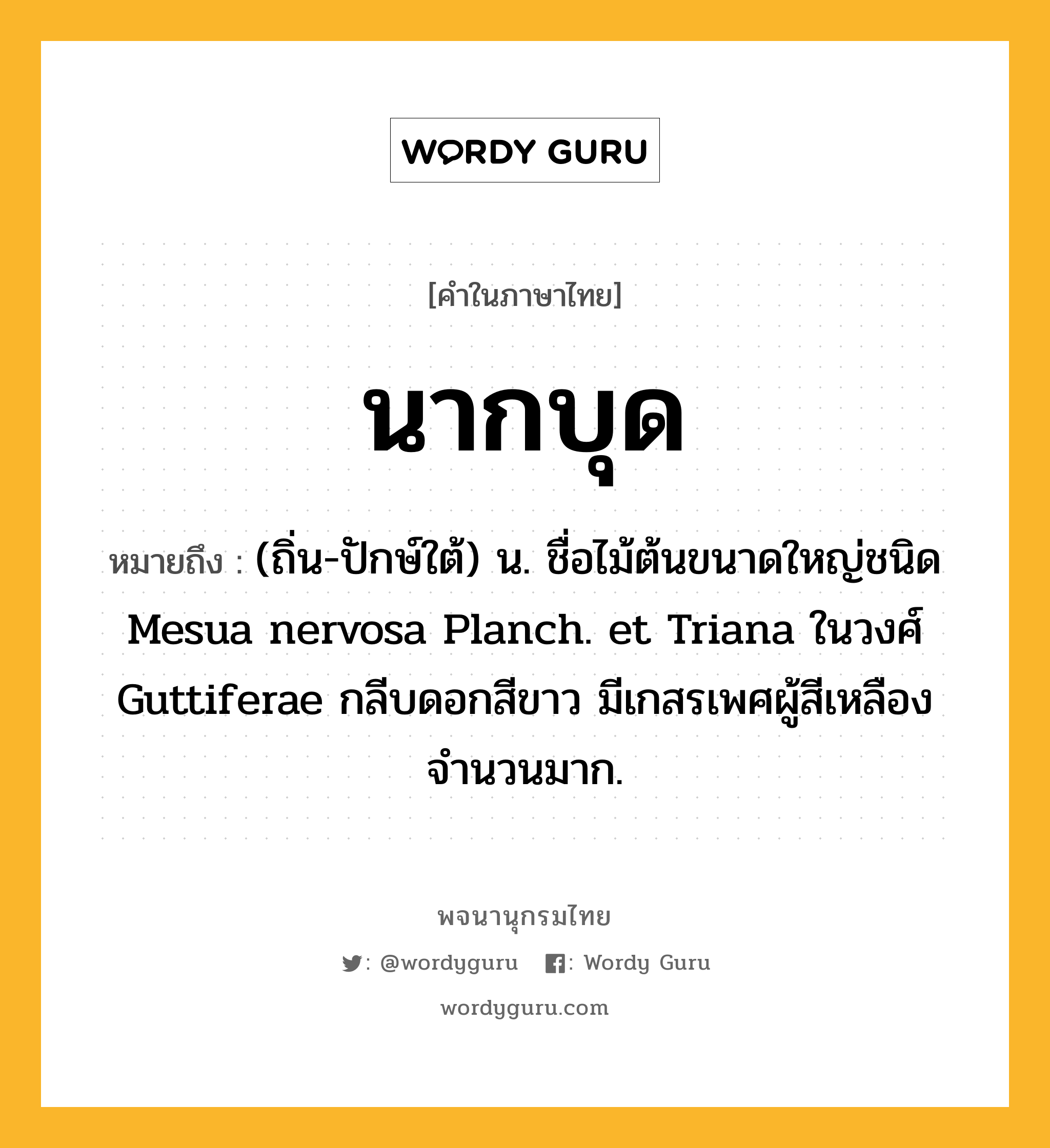 นากบุด ความหมาย หมายถึงอะไร?, คำในภาษาไทย นากบุด หมายถึง (ถิ่น-ปักษ์ใต้) น. ชื่อไม้ต้นขนาดใหญ่ชนิด Mesua nervosa Planch. et Triana ในวงศ์ Guttiferae กลีบดอกสีขาว มีเกสรเพศผู้สีเหลืองจำนวนมาก.