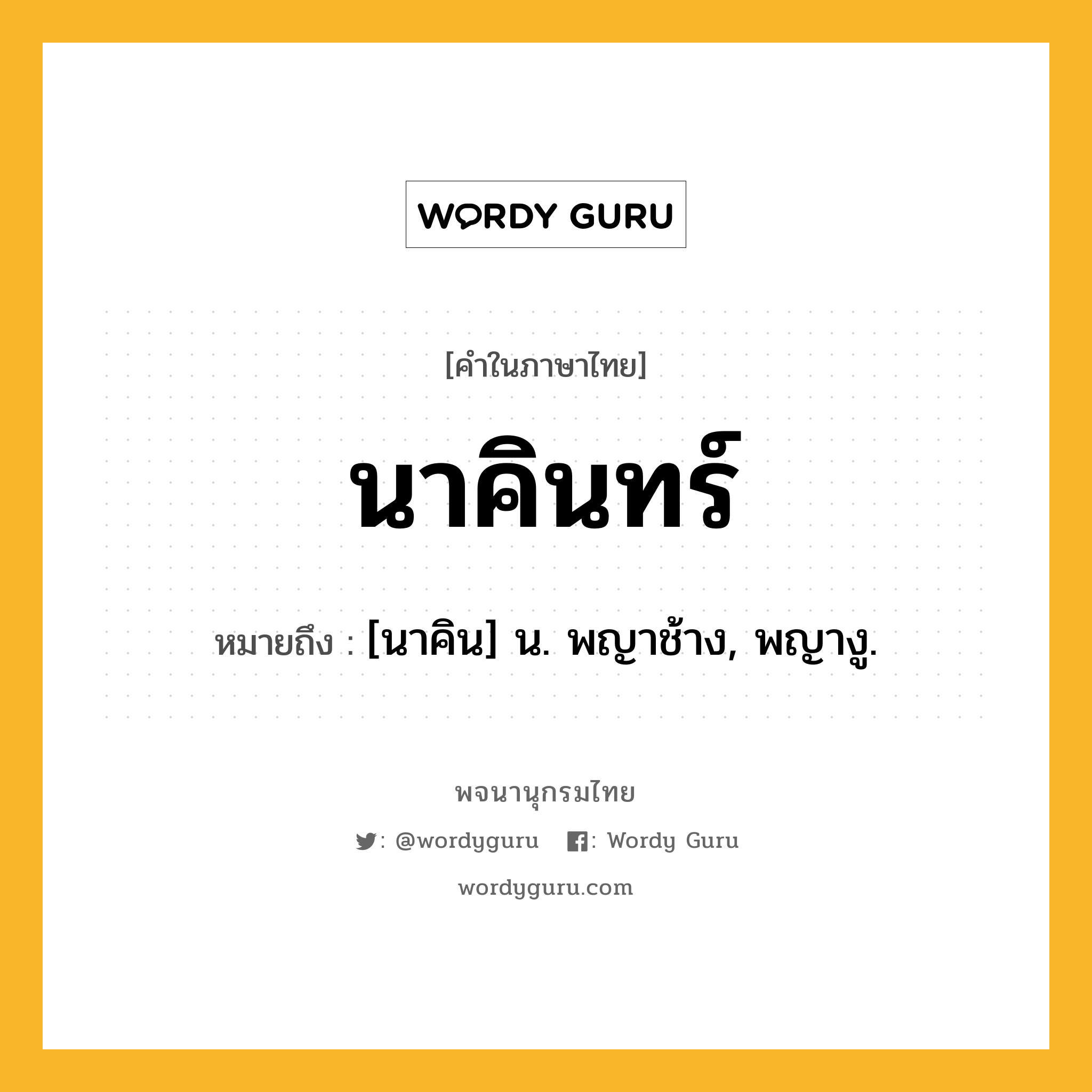 นาคินทร์ ความหมาย หมายถึงอะไร?, คำในภาษาไทย นาคินทร์ หมายถึง [นาคิน] น. พญาช้าง, พญางู.