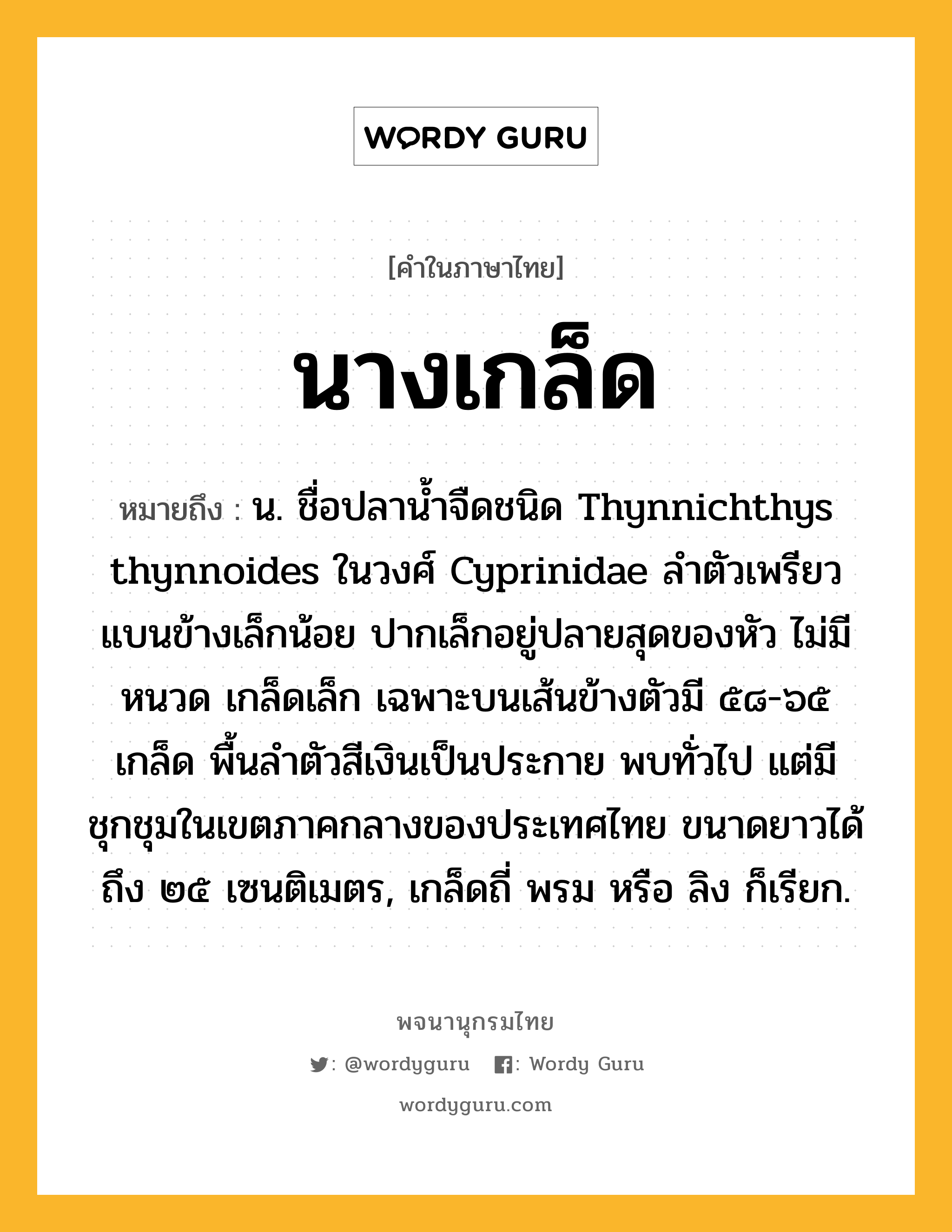 นางเกล็ด ความหมาย หมายถึงอะไร?, คำในภาษาไทย นางเกล็ด หมายถึง น. ชื่อปลานํ้าจืดชนิด Thynnichthys thynnoides ในวงศ์ Cyprinidae ลําตัวเพรียว แบนข้างเล็กน้อย ปากเล็กอยู่ปลายสุดของหัว ไม่มีหนวด เกล็ดเล็ก เฉพาะบนเส้นข้างตัวมี ๕๘-๖๕ เกล็ด พื้นลําตัวสีเงินเป็นประกาย พบทั่วไป แต่มีชุกชุมในเขตภาคกลางของประเทศไทย ขนาดยาวได้ถึง ๒๕ เซนติเมตร, เกล็ดถี่ พรม หรือ ลิง ก็เรียก.