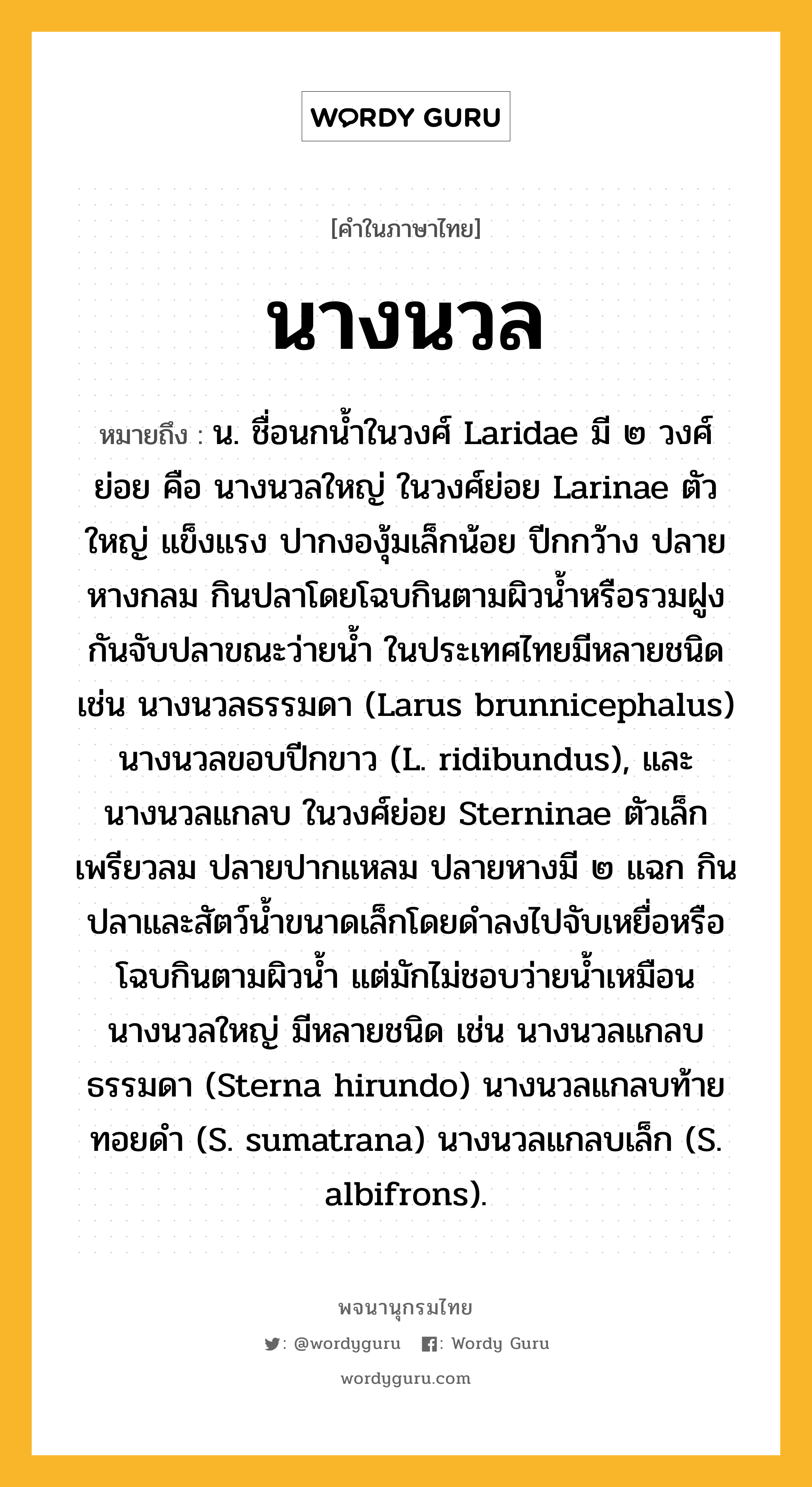 นางนวล ความหมาย หมายถึงอะไร?, คำในภาษาไทย นางนวล หมายถึง น. ชื่อนกนํ้าในวงศ์ Laridae มี ๒ วงศ์ย่อย คือ นางนวลใหญ่ ในวงศ์ย่อย Larinae ตัวใหญ่ แข็งแรง ปากงองุ้มเล็กน้อย ปีกกว้าง ปลายหางกลม กินปลาโดยโฉบกินตามผิวนํ้าหรือรวมฝูงกันจับปลาขณะว่ายนํ้า ในประเทศไทยมีหลายชนิด เช่น นางนวลธรรมดา (Larus brunnicephalus) นางนวลขอบปีกขาว (L. ridibundus), และนางนวลแกลบ ในวงศ์ย่อย Sterninae ตัวเล็กเพรียวลม ปลายปากแหลม ปลายหางมี ๒ แฉก กินปลาและสัตว์นํ้าขนาดเล็กโดยดําลงไปจับเหยื่อหรือโฉบกินตามผิวนํ้า แต่มักไม่ชอบว่ายนํ้าเหมือนนางนวลใหญ่ มีหลายชนิด เช่น นางนวลแกลบธรรมดา (Sterna hirundo) นางนวลแกลบท้ายทอยดํา (S. sumatrana) นางนวลแกลบเล็ก (S. albifrons).