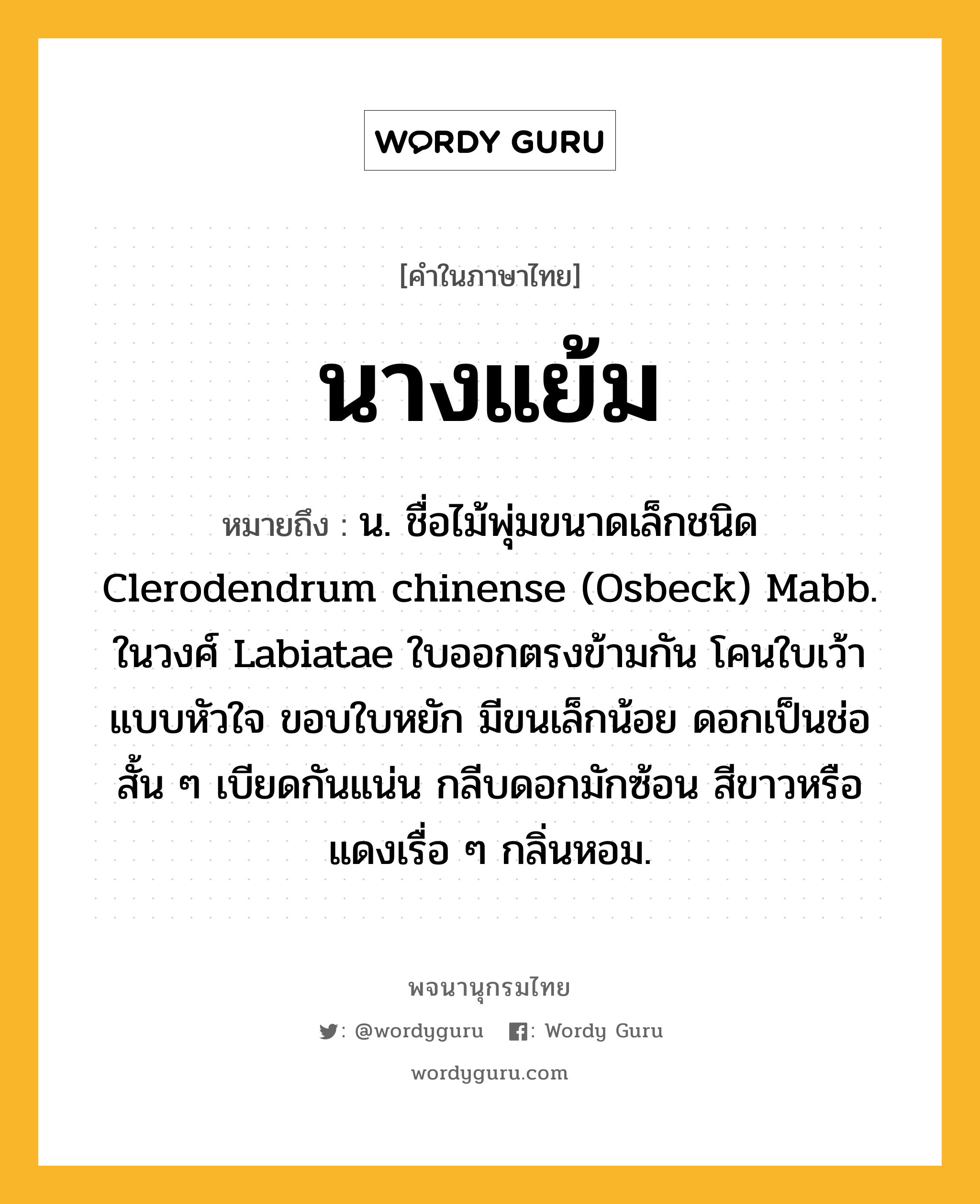 นางแย้ม ความหมาย หมายถึงอะไร?, คำในภาษาไทย นางแย้ม หมายถึง น. ชื่อไม้พุ่มขนาดเล็กชนิด Clerodendrum chinense (Osbeck) Mabb. ในวงศ์ Labiatae ใบออกตรงข้ามกัน โคนใบเว้าแบบหัวใจ ขอบใบหยัก มีขนเล็กน้อย ดอกเป็นช่อสั้น ๆ เบียดกันแน่น กลีบดอกมักซ้อน สีขาวหรือแดงเรื่อ ๆ กลิ่นหอม.