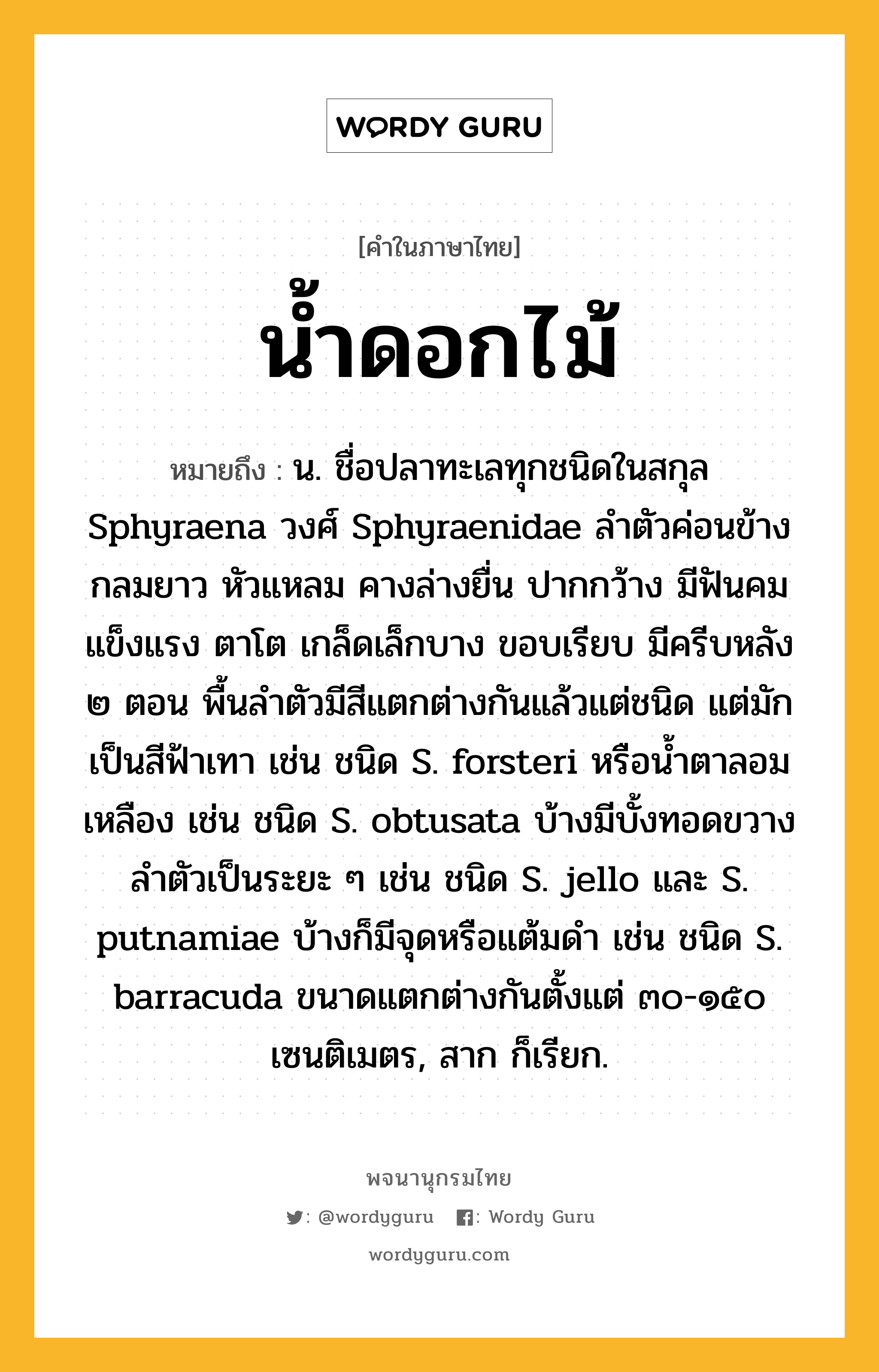 น้ำดอกไม้ ความหมาย หมายถึงอะไร?, คำในภาษาไทย น้ำดอกไม้ หมายถึง น. ชื่อปลาทะเลทุกชนิดในสกุล Sphyraena วงศ์ Sphyraenidae ลําตัวค่อนข้างกลมยาว หัวแหลม คางล่างยื่น ปากกว้าง มีฟันคมแข็งแรง ตาโต เกล็ดเล็กบาง ขอบเรียบ มีครีบหลัง ๒ ตอน พื้นลําตัวมีสีแตกต่างกันแล้วแต่ชนิด แต่มักเป็นสีฟ้าเทา เช่น ชนิด S. forsteri หรือนํ้าตาลอมเหลือง เช่น ชนิด S. obtusata บ้างมีบั้งทอดขวางลําตัวเป็นระยะ ๆ เช่น ชนิด S. jello และ S. putnamiae บ้างก็มีจุดหรือแต้มดํา เช่น ชนิด S. barracuda ขนาดแตกต่างกันตั้งแต่ ๓๐-๑๕๐ เซนติเมตร, สาก ก็เรียก.