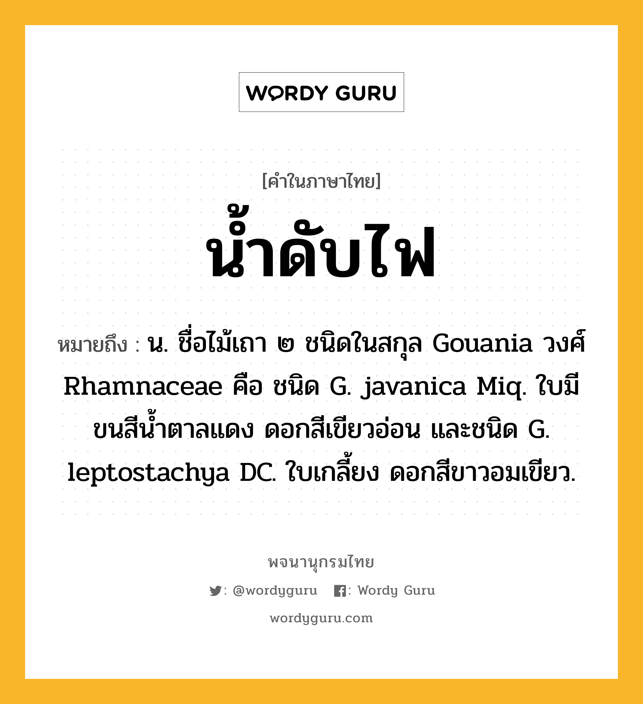 น้ำดับไฟ ความหมาย หมายถึงอะไร?, คำในภาษาไทย น้ำดับไฟ หมายถึง น. ชื่อไม้เถา ๒ ชนิดในสกุล Gouania วงศ์ Rhamnaceae คือ ชนิด G. javanica Miq. ใบมีขนสีน้ำตาลแดง ดอกสีเขียวอ่อน และชนิด G. leptostachya DC. ใบเกลี้ยง ดอกสีขาวอมเขียว.