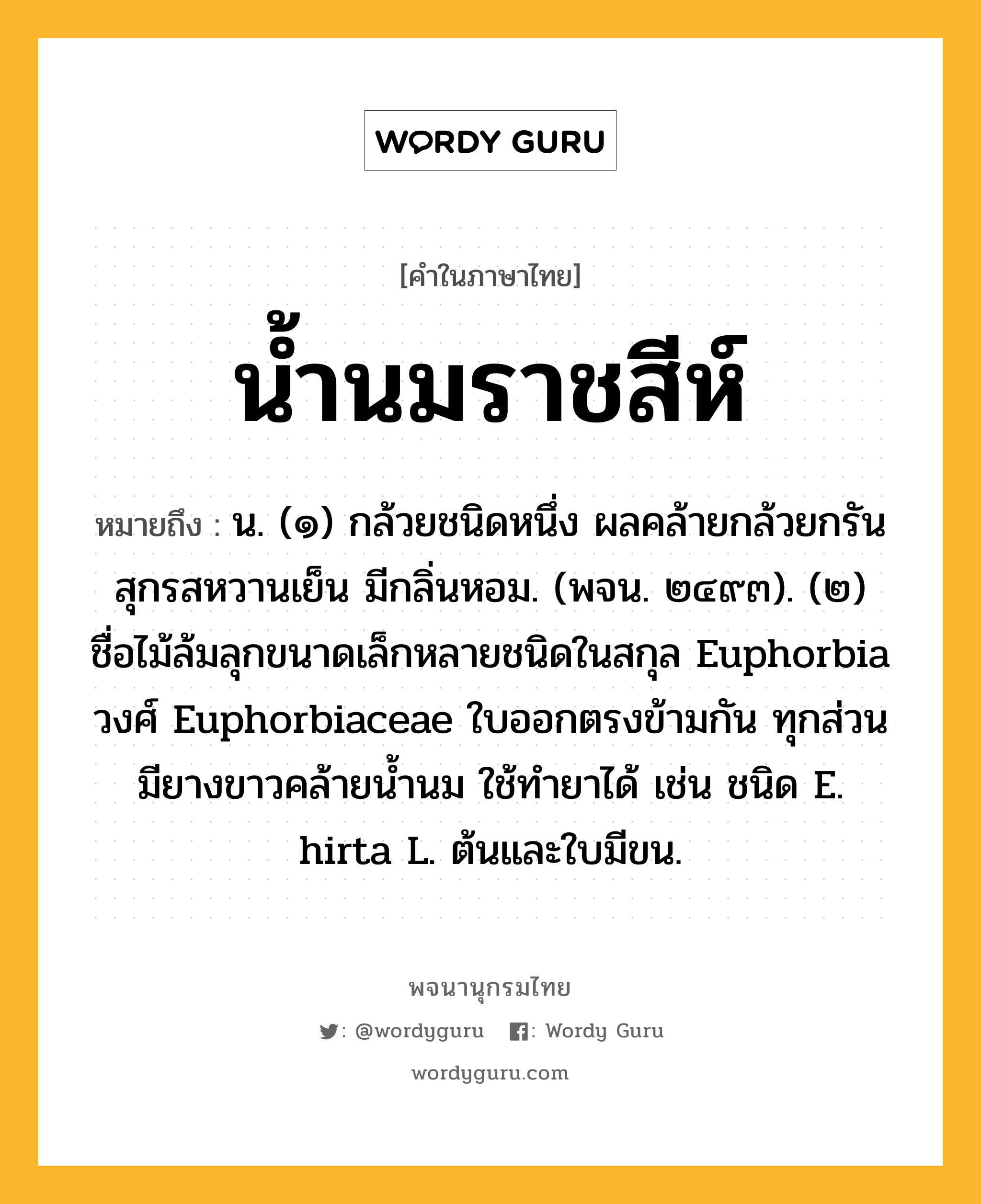 น้ำนมราชสีห์ ความหมาย หมายถึงอะไร?, คำในภาษาไทย น้ำนมราชสีห์ หมายถึง น. (๑) กล้วยชนิดหนึ่ง ผลคล้ายกล้วยกรัน สุกรสหวานเย็น มีกลิ่นหอม. (พจน. ๒๔๙๓). (๒) ชื่อไม้ล้มลุกขนาดเล็กหลายชนิดในสกุล Euphorbia วงศ์ Euphorbiaceae ใบออกตรงข้ามกัน ทุกส่วนมียางขาวคล้ายนํ้านม ใช้ทํายาได้ เช่น ชนิด E. hirta L. ต้นและใบมีขน.