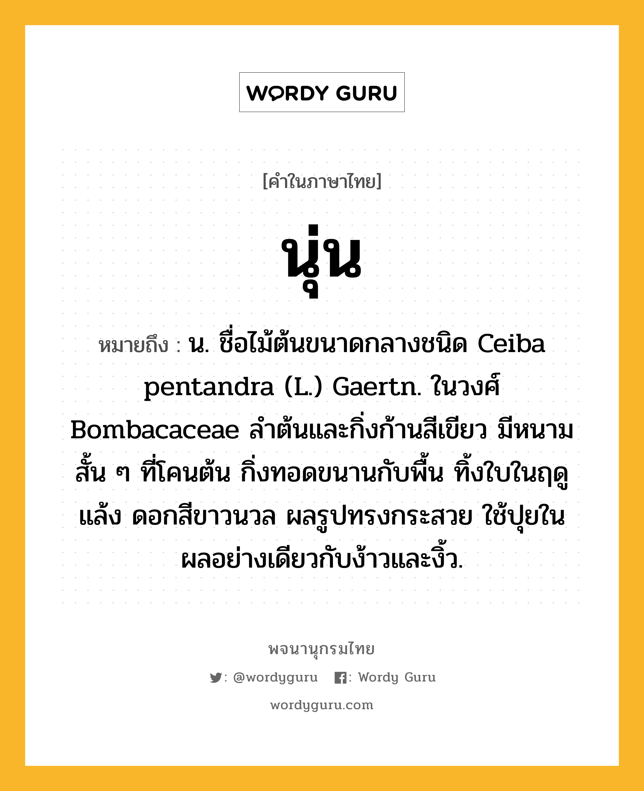 นุ่น ความหมาย หมายถึงอะไร?, คำในภาษาไทย นุ่น หมายถึง น. ชื่อไม้ต้นขนาดกลางชนิด Ceiba pentandra (L.) Gaertn. ในวงศ์ Bombacaceae ลําต้นและกิ่งก้านสีเขียว มีหนามสั้น ๆ ที่โคนต้น กิ่งทอดขนานกับพื้น ทิ้งใบในฤดูแล้ง ดอกสีขาวนวล ผลรูปทรงกระสวย ใช้ปุยในผลอย่างเดียวกับง้าวและงิ้ว.