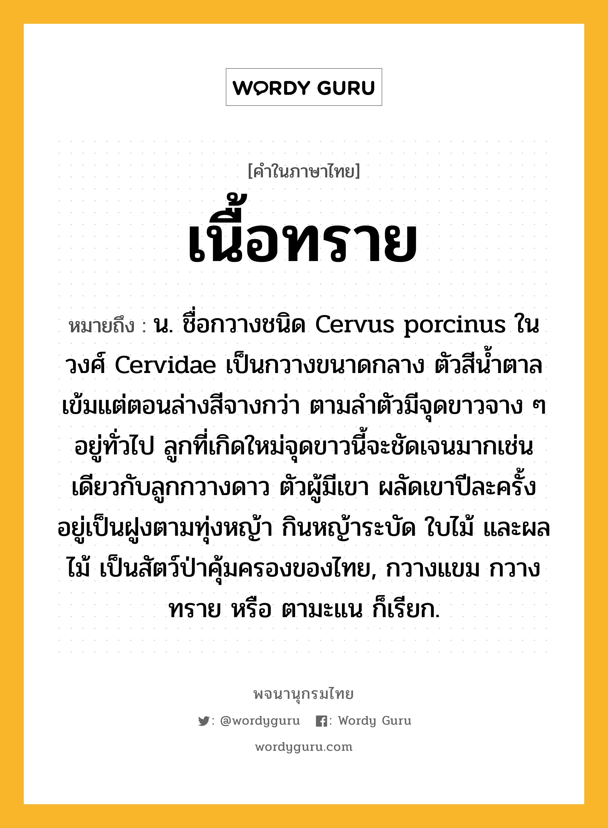 เนื้อทราย ความหมาย หมายถึงอะไร?, คำในภาษาไทย เนื้อทราย หมายถึง น. ชื่อกวางชนิด Cervus porcinus ในวงศ์ Cervidae เป็นกวางขนาดกลาง ตัวสีนํ้าตาลเข้มแต่ตอนล่างสีจางกว่า ตามลําตัวมีจุดขาวจาง ๆ อยู่ทั่วไป ลูกที่เกิดใหม่จุดขาวนี้จะชัดเจนมากเช่นเดียวกับลูกกวางดาว ตัวผู้มีเขา ผลัดเขาปีละครั้ง อยู่เป็นฝูงตามทุ่งหญ้า กินหญ้าระบัด ใบไม้ และผลไม้ เป็นสัตว์ป่าคุ้มครองของไทย, กวางแขม กวางทราย หรือ ตามะแน ก็เรียก.