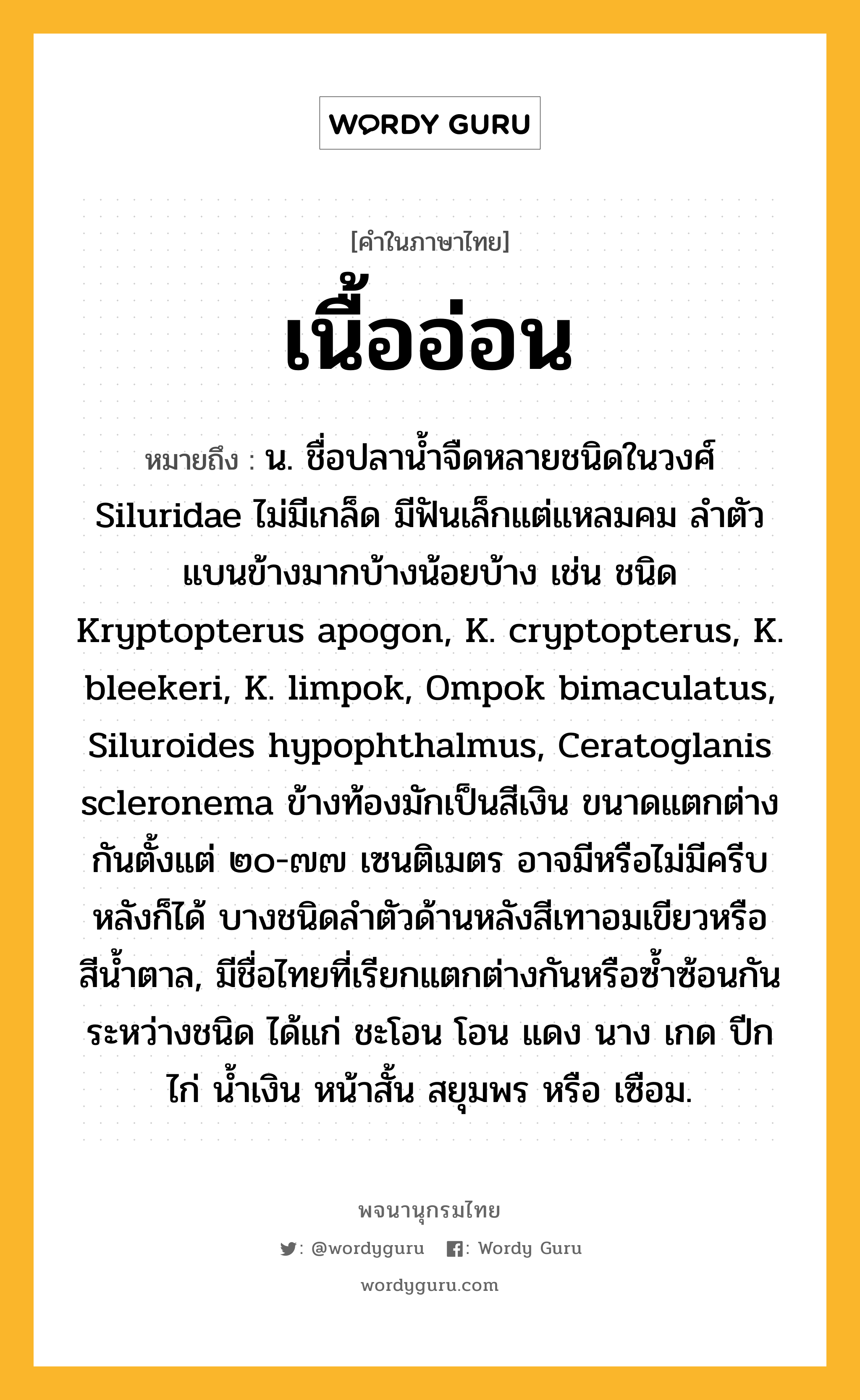 เนื้ออ่อน ความหมาย หมายถึงอะไร?, คำในภาษาไทย เนื้ออ่อน หมายถึง น. ชื่อปลานํ้าจืดหลายชนิดในวงศ์ Siluridae ไม่มีเกล็ด มีฟันเล็กแต่แหลมคม ลําตัวแบนข้างมากบ้างน้อยบ้าง เช่น ชนิด Kryptopterus apogon, K. cryptopterus, K. bleekeri, K. limpok, Ompok bimaculatus, Siluroides hypophthalmus, Ceratoglanis scleronema ข้างท้องมักเป็นสีเงิน ขนาดแตกต่างกันตั้งแต่ ๒๐-๗๗ เซนติเมตร อาจมีหรือไม่มีครีบหลังก็ได้ บางชนิดลําตัวด้านหลังสีเทาอมเขียวหรือสีนํ้าตาล, มีชื่อไทยที่เรียกแตกต่างกันหรือซํ้าซ้อนกันระหว่างชนิด ได้แก่ ชะโอน โอน แดง นาง เกด ปีกไก่ นํ้าเงิน หน้าสั้น สยุมพร หรือ เซือม.