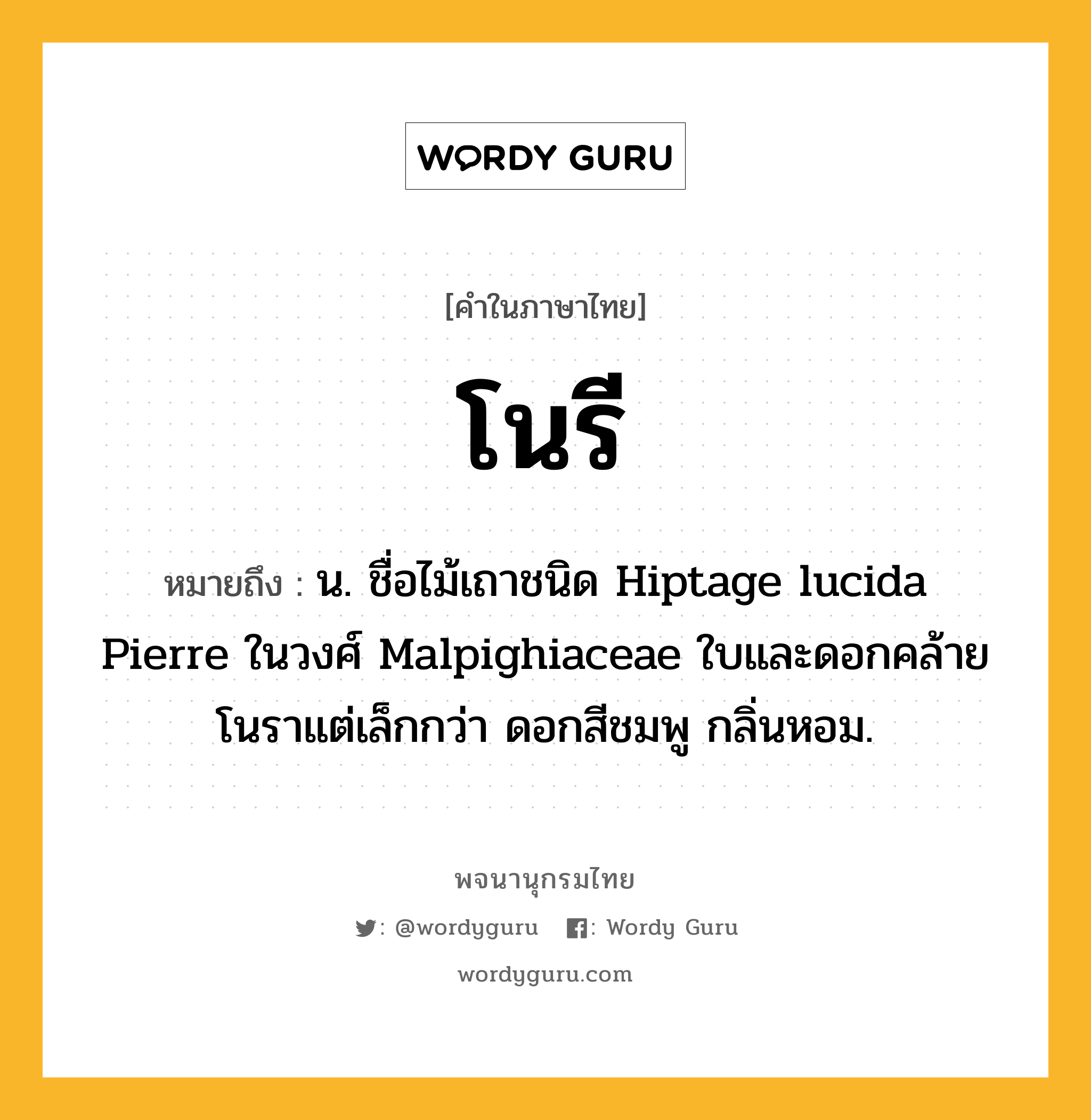 โนรี ความหมาย หมายถึงอะไร?, คำในภาษาไทย โนรี หมายถึง น. ชื่อไม้เถาชนิด Hiptage lucida Pierre ในวงศ์ Malpighiaceae ใบและดอกคล้ายโนราแต่เล็กกว่า ดอกสีชมพู กลิ่นหอม.