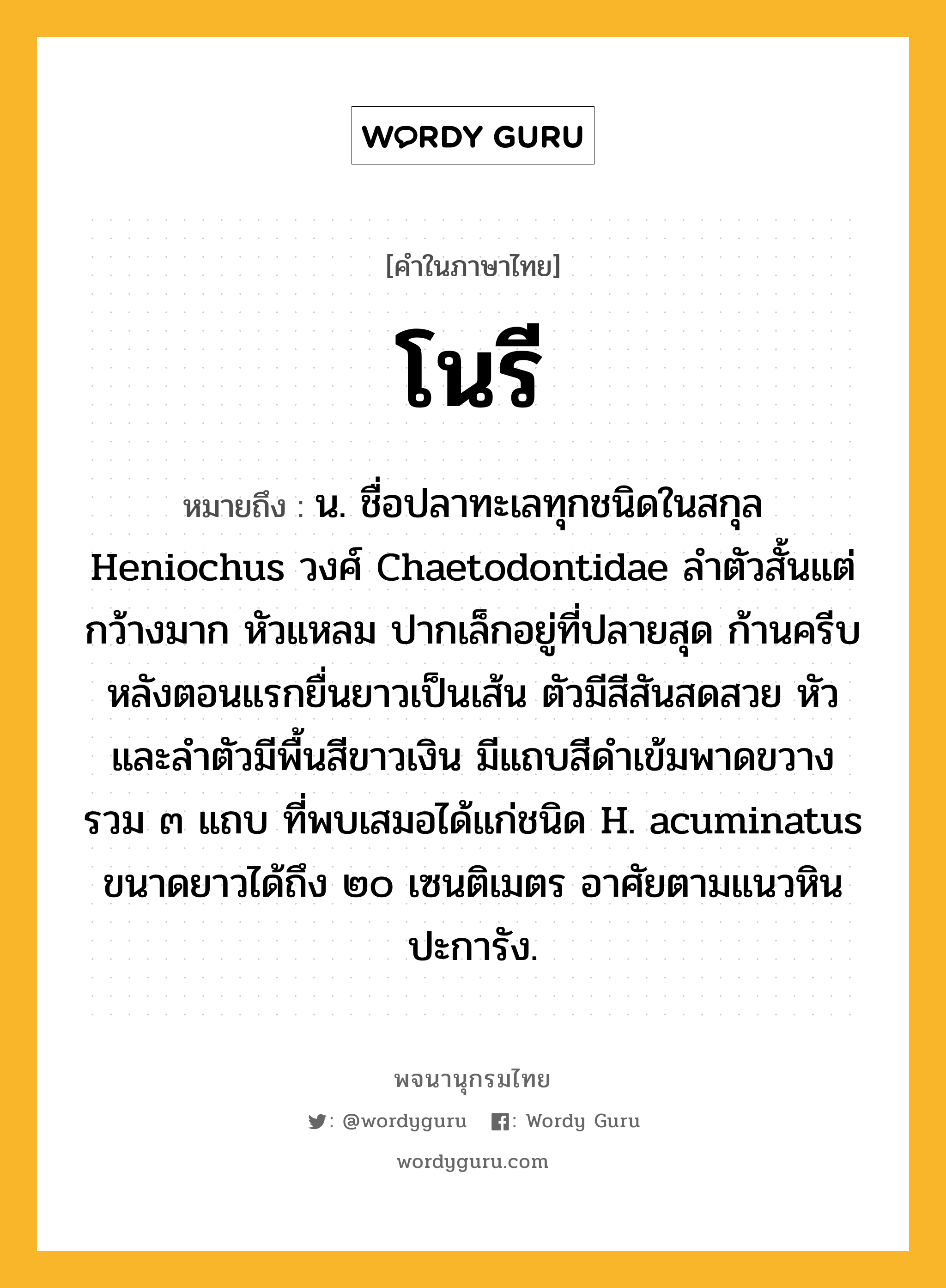 โนรี ความหมาย หมายถึงอะไร?, คำในภาษาไทย โนรี หมายถึง น. ชื่อปลาทะเลทุกชนิดในสกุล Heniochus วงศ์ Chaetodontidae ลําตัวสั้นแต่กว้างมาก หัวแหลม ปากเล็กอยู่ที่ปลายสุด ก้านครีบหลังตอนแรกยื่นยาวเป็นเส้น ตัวมีสีสันสดสวย หัวและลําตัวมีพื้นสีขาวเงิน มีแถบสีดําเข้มพาดขวางรวม ๓ แถบ ที่พบเสมอได้แก่ชนิด H. acuminatus ขนาดยาวได้ถึง ๒๐ เซนติเมตร อาศัยตามแนวหินปะการัง.