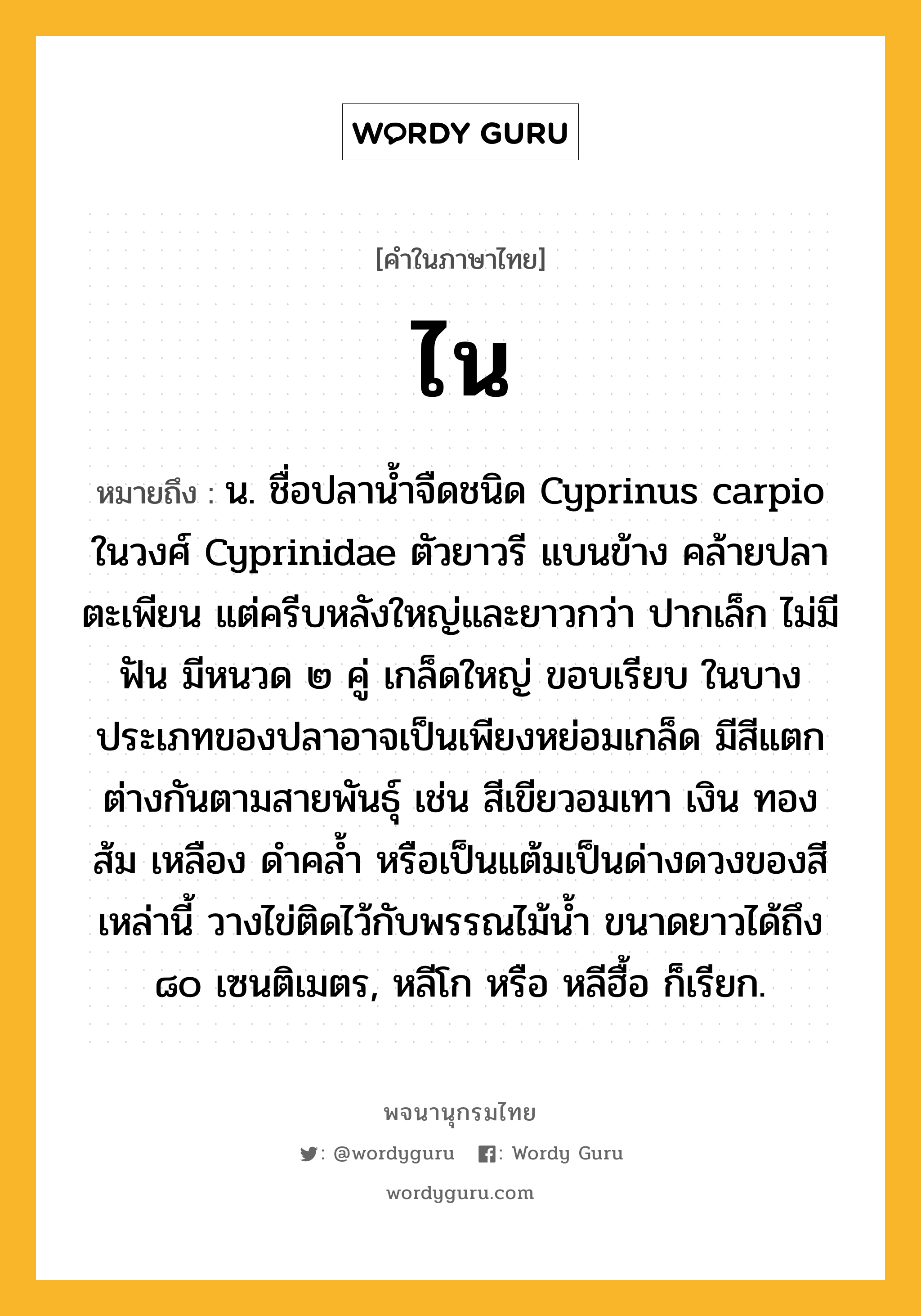 ไน ความหมาย หมายถึงอะไร?, คำในภาษาไทย ไน หมายถึง น. ชื่อปลานํ้าจืดชนิด Cyprinus carpio ในวงศ์ Cyprinidae ตัวยาวรี แบนข้าง คล้ายปลาตะเพียน แต่ครีบหลังใหญ่และยาวกว่า ปากเล็ก ไม่มีฟัน มีหนวด ๒ คู่ เกล็ดใหญ่ ขอบเรียบ ในบางประเภทของปลาอาจเป็นเพียงหย่อมเกล็ด มีสีแตกต่างกันตามสายพันธุ์ เช่น สีเขียวอมเทา เงิน ทอง ส้ม เหลือง ดําคลํ้า หรือเป็นแต้มเป็นด่างดวงของสีเหล่านี้ วางไข่ติดไว้กับพรรณไม้นํ้า ขนาดยาวได้ถึง ๘๐ เซนติเมตร, หลีโก หรือ หลีฮื้อ ก็เรียก.