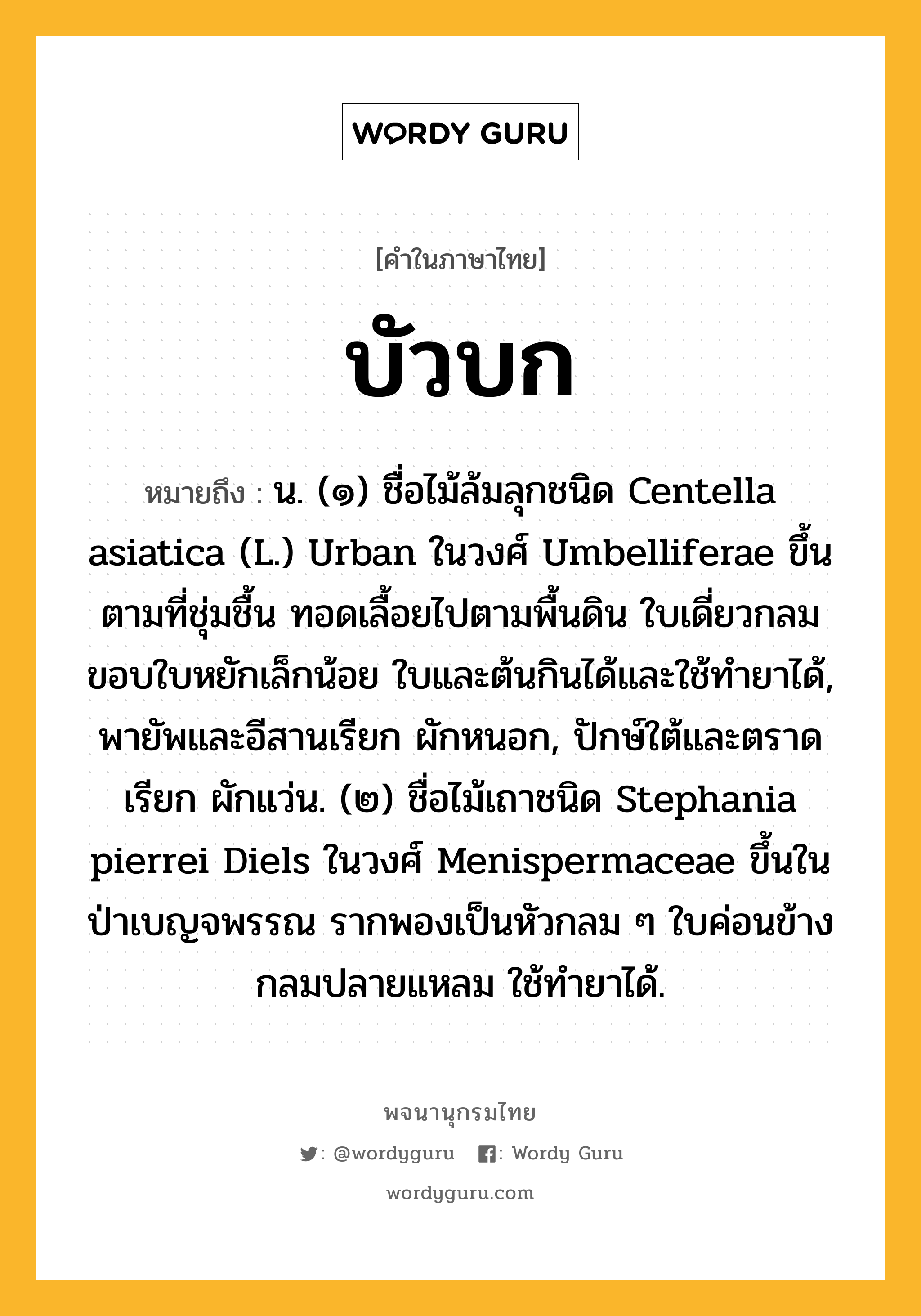 บัวบก ความหมาย หมายถึงอะไร?, คำในภาษาไทย บัวบก หมายถึง น. (๑) ชื่อไม้ล้มลุกชนิด Centella asiatica (L.) Urban ในวงศ์ Umbelliferae ขึ้นตามที่ชุ่มชื้น ทอดเลื้อยไปตามพื้นดิน ใบเดี่ยวกลม ขอบใบหยักเล็กน้อย ใบและต้นกินได้และใช้ทํายาได้, พายัพและอีสานเรียก ผักหนอก, ปักษ์ใต้และตราดเรียก ผักแว่น. (๒) ชื่อไม้เถาชนิด Stephania pierrei Diels ในวงศ์ Menispermaceae ขึ้นในป่าเบญจพรรณ รากพองเป็นหัวกลม ๆ ใบค่อนข้างกลมปลายแหลม ใช้ทํายาได้.