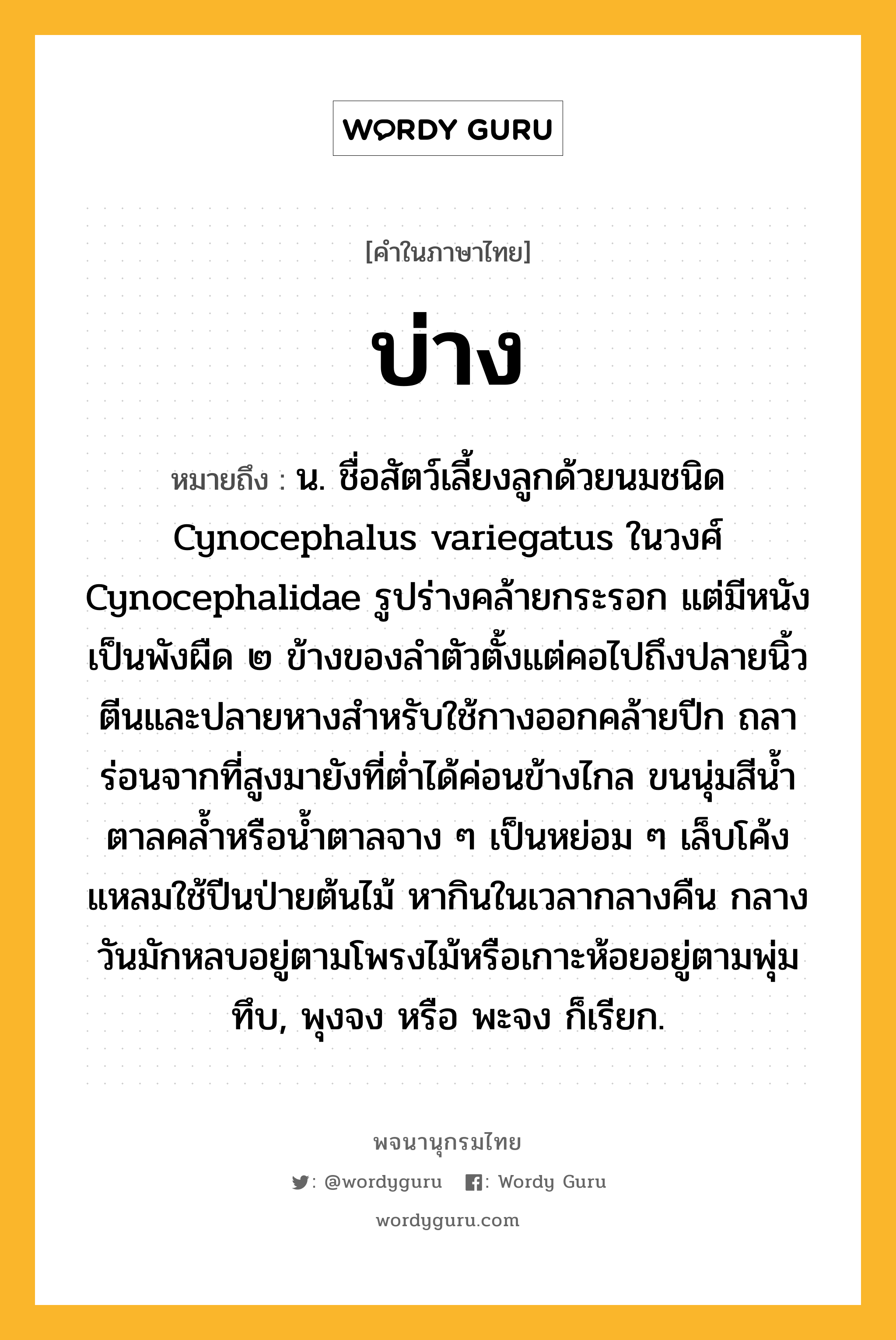 บ่าง ความหมาย หมายถึงอะไร?, คำในภาษาไทย บ่าง หมายถึง น. ชื่อสัตว์เลี้ยงลูกด้วยนมชนิด Cynocephalus variegatus ในวงศ์ Cynocephalidae รูปร่างคล้ายกระรอก แต่มีหนังเป็นพังผืด ๒ ข้างของลําตัวตั้งแต่คอไปถึงปลายนิ้วตีนและปลายหางสําหรับใช้กางออกคล้ายปีก ถลาร่อนจากที่สูงมายังที่ตํ่าได้ค่อนข้างไกล ขนนุ่มสีนํ้าตาลคลํ้าหรือนํ้าตาลจาง ๆ เป็นหย่อม ๆ เล็บโค้งแหลมใช้ปีนป่ายต้นไม้ หากินในเวลากลางคืน กลางวันมักหลบอยู่ตามโพรงไม้หรือเกาะห้อยอยู่ตามพุ่มทึบ, พุงจง หรือ พะจง ก็เรียก.