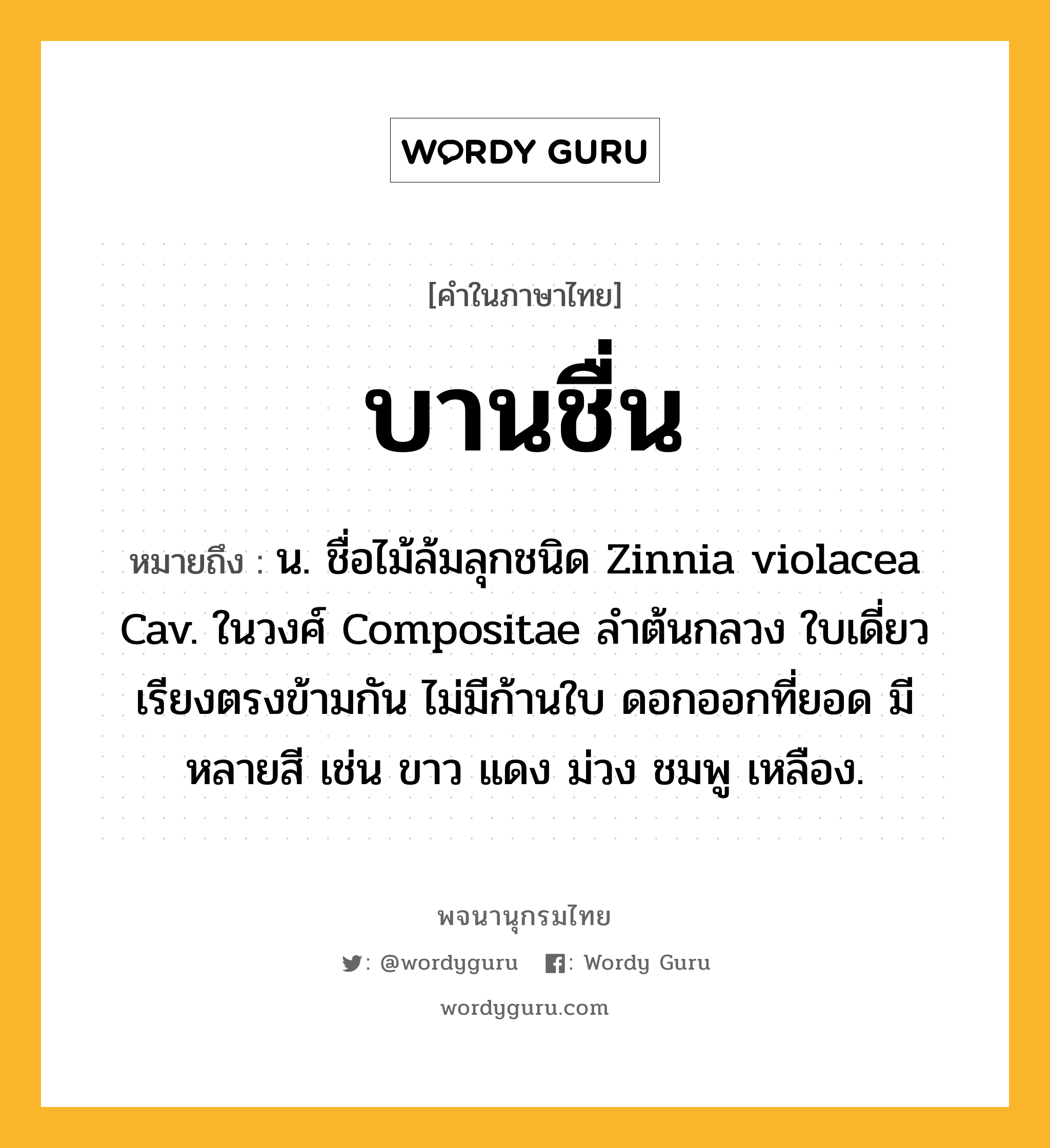 บานชื่น ความหมาย หมายถึงอะไร?, คำในภาษาไทย บานชื่น หมายถึง น. ชื่อไม้ล้มลุกชนิด Zinnia violacea Cav. ในวงศ์ Compositae ลําต้นกลวง ใบเดี่ยว เรียงตรงข้ามกัน ไม่มีก้านใบ ดอกออกที่ยอด มีหลายสี เช่น ขาว แดง ม่วง ชมพู เหลือง.