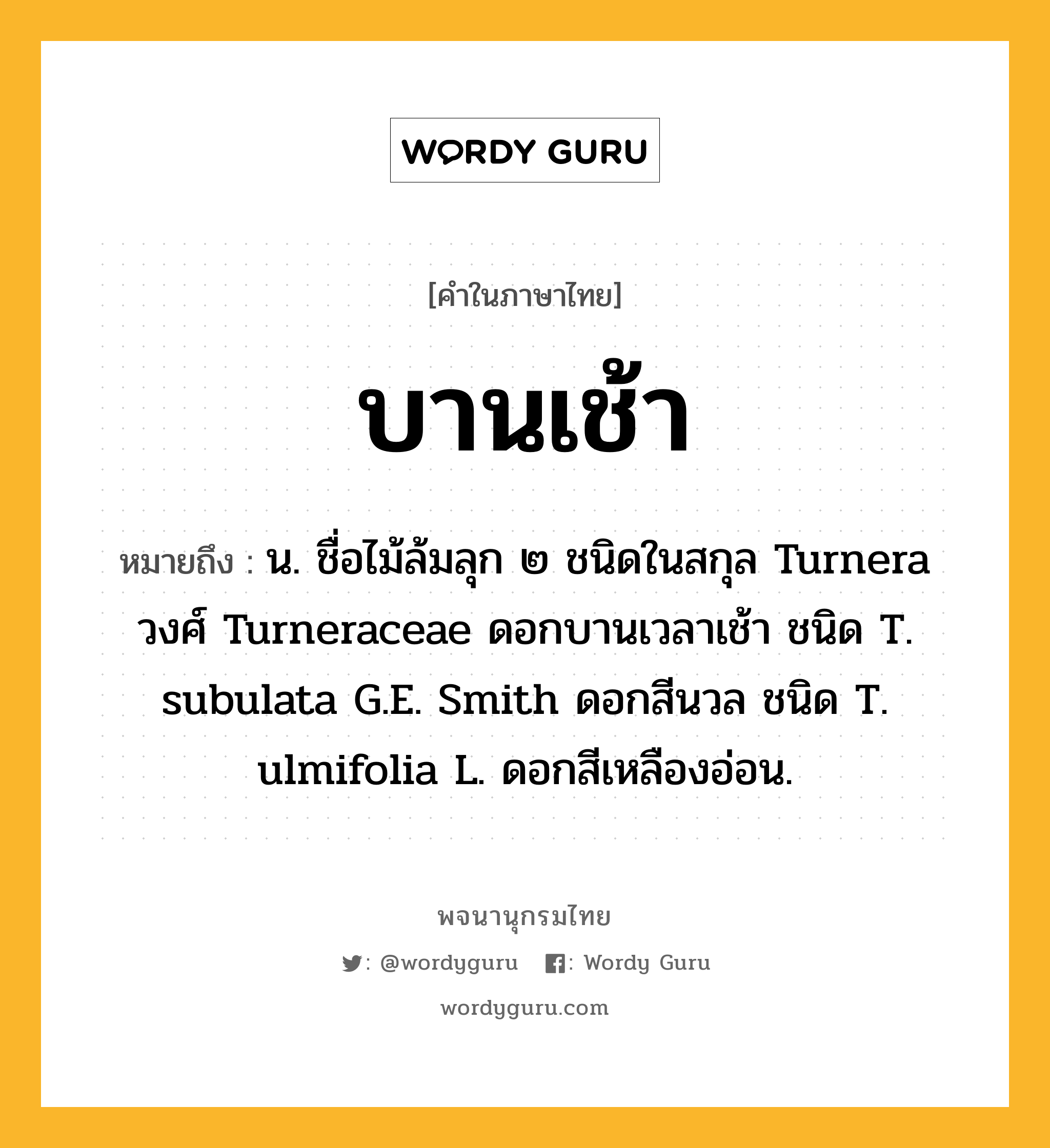 บานเช้า ความหมาย หมายถึงอะไร?, คำในภาษาไทย บานเช้า หมายถึง น. ชื่อไม้ล้มลุก ๒ ชนิดในสกุล Turnera วงศ์ Turneraceae ดอกบานเวลาเช้า ชนิด T. subulata G.E. Smith ดอกสีนวล ชนิด T. ulmifolia L. ดอกสีเหลืองอ่อน.