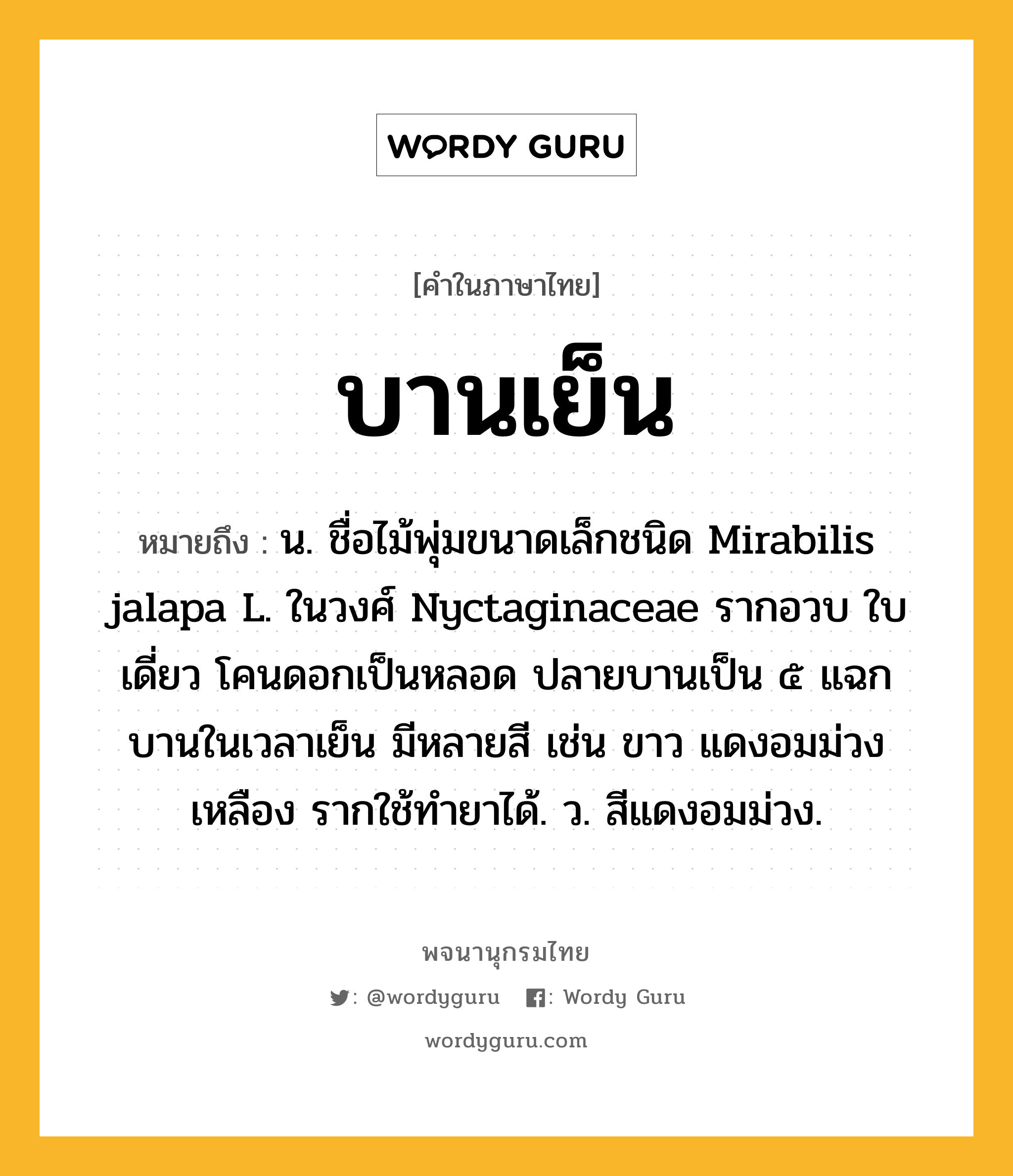 บานเย็น ความหมาย หมายถึงอะไร?, คำในภาษาไทย บานเย็น หมายถึง น. ชื่อไม้พุ่มขนาดเล็กชนิด Mirabilis jalapa L. ในวงศ์ Nyctaginaceae รากอวบ ใบเดี่ยว โคนดอกเป็นหลอด ปลายบานเป็น ๕ แฉก บานในเวลาเย็น มีหลายสี เช่น ขาว แดงอมม่วง เหลือง รากใช้ทํายาได้. ว. สีแดงอมม่วง.