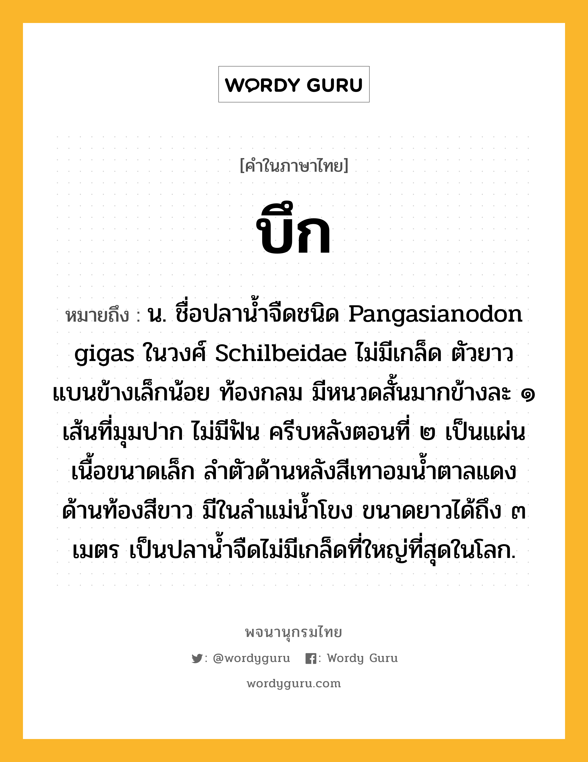 บึก ความหมาย หมายถึงอะไร?, คำในภาษาไทย บึก หมายถึง น. ชื่อปลานํ้าจืดชนิด Pangasianodon gigas ในวงศ์ Schilbeidae ไม่มีเกล็ด ตัวยาว แบนข้างเล็กน้อย ท้องกลม มีหนวดสั้นมากข้างละ ๑ เส้นที่มุมปาก ไม่มีฟัน ครีบหลังตอนที่ ๒ เป็นแผ่นเนื้อขนาดเล็ก ลําตัวด้านหลังสีเทาอมนํ้าตาลแดง ด้านท้องสีขาว มีในลําแม่นํ้าโขง ขนาดยาวได้ถึง ๓ เมตร เป็นปลานํ้าจืดไม่มีเกล็ดที่ใหญ่ที่สุดในโลก.