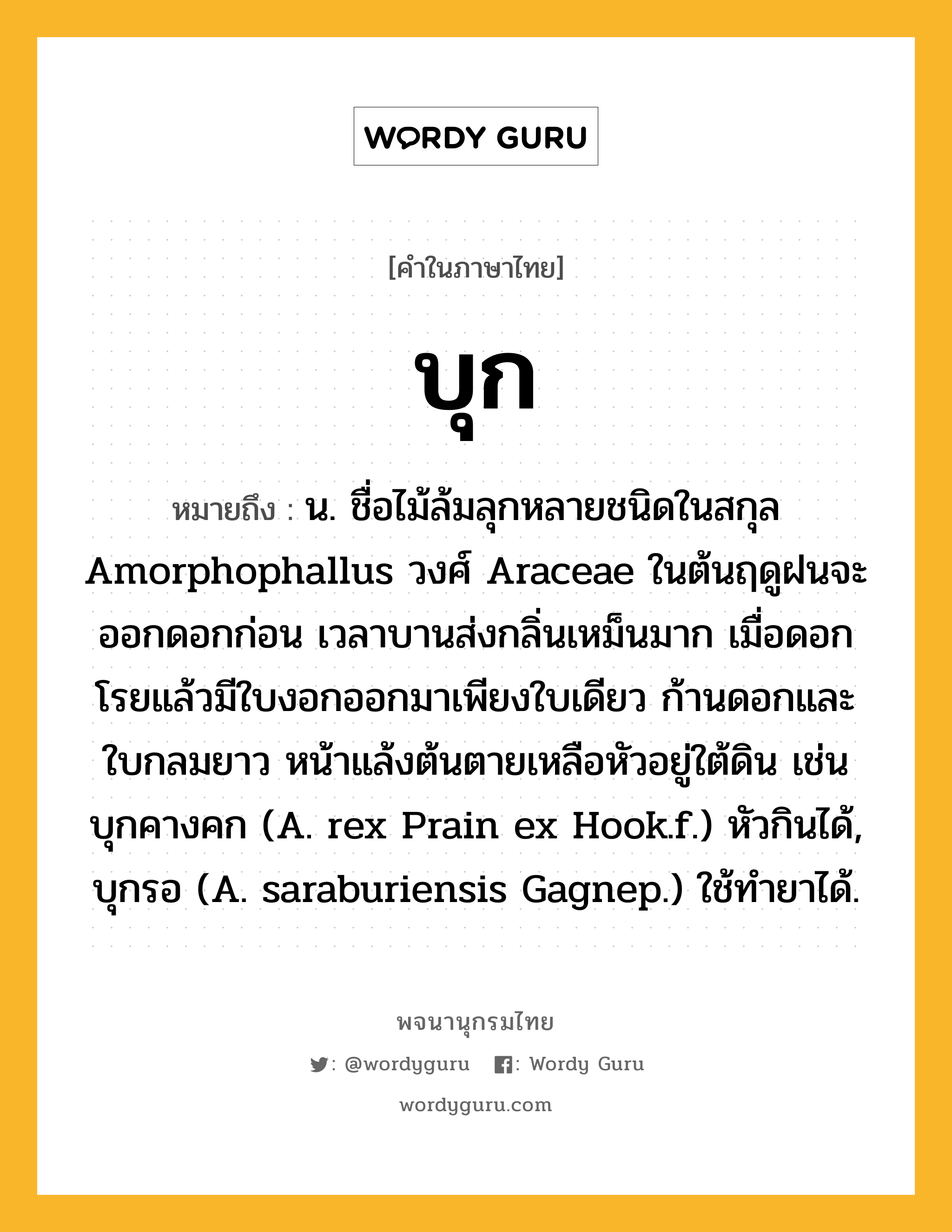 บุก ความหมาย หมายถึงอะไร?, คำในภาษาไทย บุก หมายถึง น. ชื่อไม้ล้มลุกหลายชนิดในสกุล Amorphophallus วงศ์ Araceae ในต้นฤดูฝนจะออกดอกก่อน เวลาบานส่งกลิ่นเหม็นมาก เมื่อดอกโรยแล้วมีใบงอกออกมาเพียงใบเดียว ก้านดอกและใบกลมยาว หน้าแล้งต้นตายเหลือหัวอยู่ใต้ดิน เช่น บุกคางคก (A. rex Prain ex Hook.f.) หัวกินได้, บุกรอ (A. saraburiensis Gagnep.) ใช้ทํายาได้.