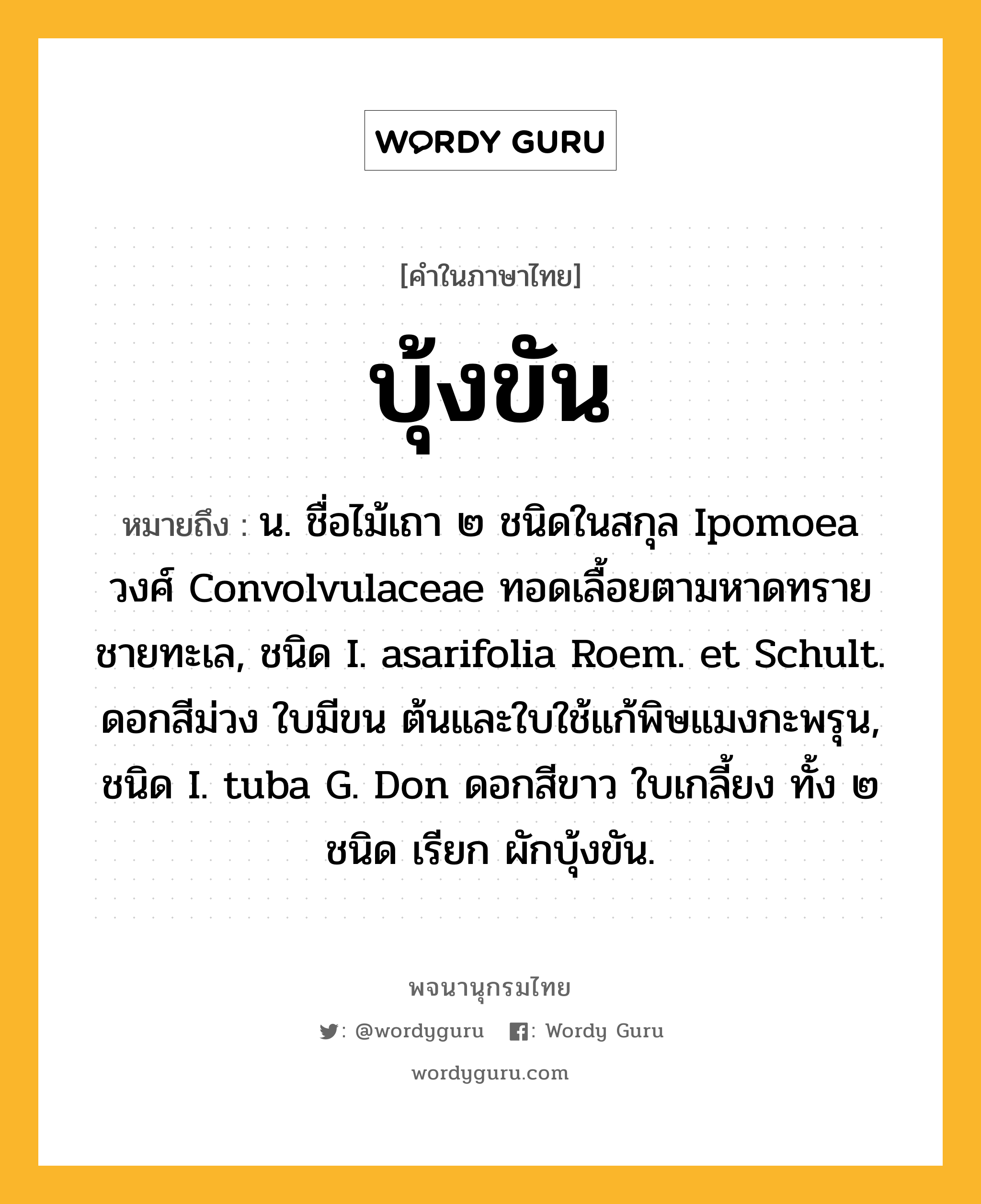 บุ้งขัน ความหมาย หมายถึงอะไร?, คำในภาษาไทย บุ้งขัน หมายถึง น. ชื่อไม้เถา ๒ ชนิดในสกุล Ipomoea วงศ์ Convolvulaceae ทอดเลื้อยตามหาดทรายชายทะเล, ชนิด I. asarifolia Roem. et Schult. ดอกสีม่วง ใบมีขน ต้นและใบใช้แก้พิษแมงกะพรุน, ชนิด I. tuba G. Don ดอกสีขาว ใบเกลี้ยง ทั้ง ๒ ชนิด เรียก ผักบุ้งขัน.