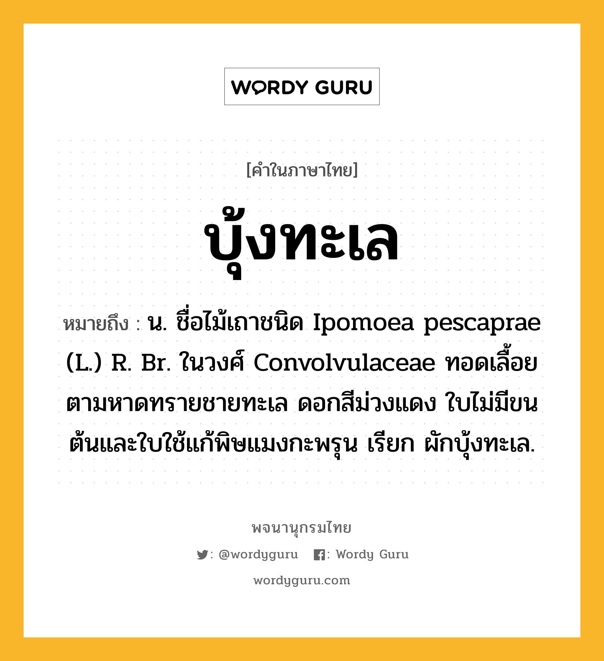 บุ้งทะเล ความหมาย หมายถึงอะไร?, คำในภาษาไทย บุ้งทะเล หมายถึง น. ชื่อไม้เถาชนิด Ipomoea pescaprae (L.) R. Br. ในวงศ์ Convolvulaceae ทอดเลื้อยตามหาดทรายชายทะเล ดอกสีม่วงแดง ใบไม่มีขน ต้นและใบใช้แก้พิษแมงกะพรุน เรียก ผักบุ้งทะเล.