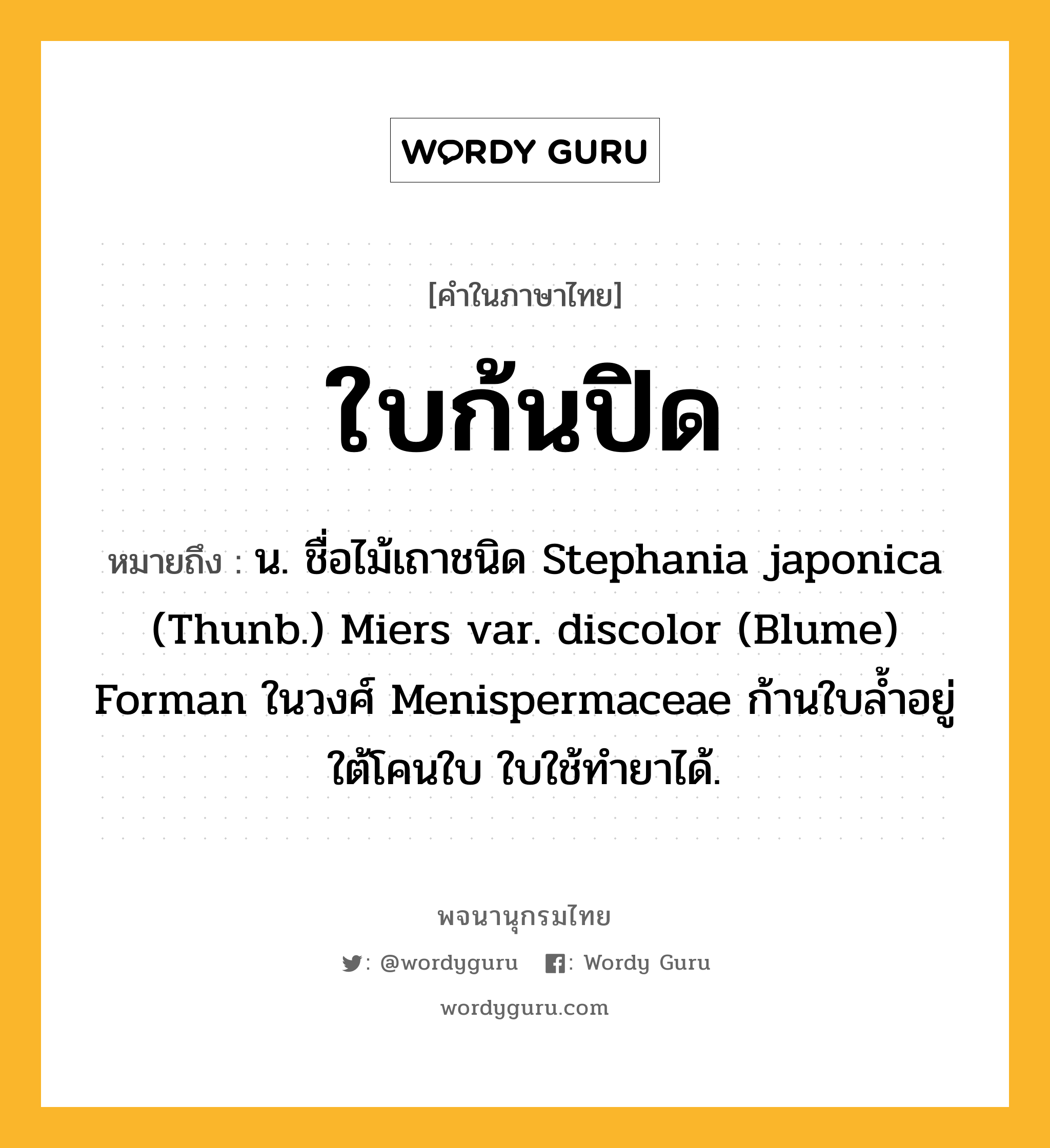 ใบก้นปิด ความหมาย หมายถึงอะไร?, คำในภาษาไทย ใบก้นปิด หมายถึง น. ชื่อไม้เถาชนิด Stephania japonica (Thunb.) Miers var. discolor (Blume) Forman ในวงศ์ Menispermaceae ก้านใบลํ้าอยู่ใต้โคนใบ ใบใช้ทํายาได้.