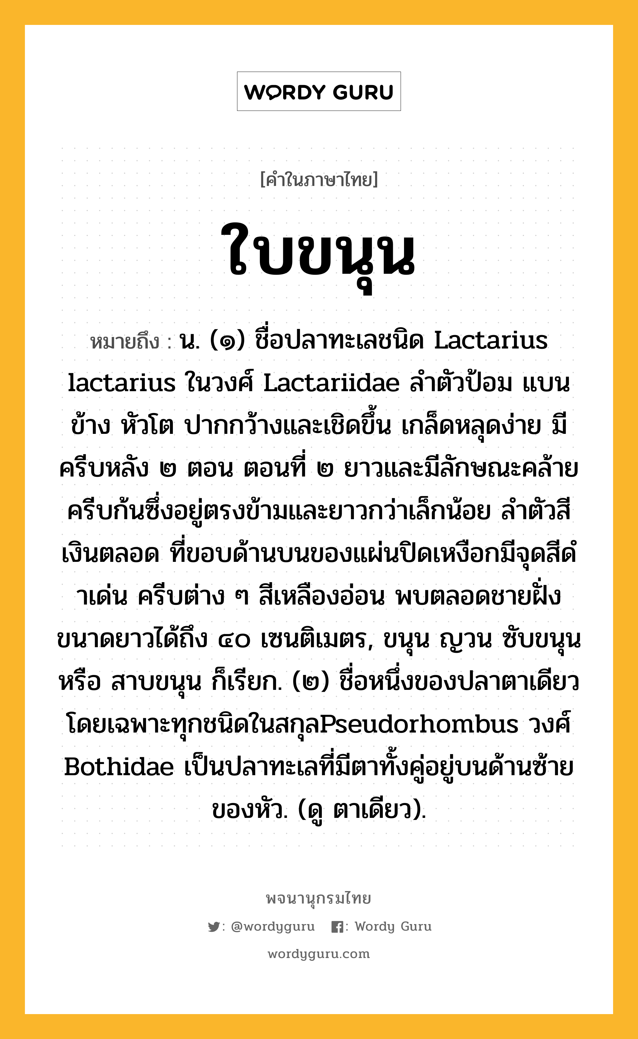 ใบขนุน ความหมาย หมายถึงอะไร?, คำในภาษาไทย ใบขนุน หมายถึง น. (๑) ชื่อปลาทะเลชนิด Lactarius lactarius ในวงศ์ Lactariidae ลําตัวป้อม แบนข้าง หัวโต ปากกว้างและเชิดขึ้น เกล็ดหลุดง่าย มีครีบหลัง ๒ ตอน ตอนที่ ๒ ยาวและมีลักษณะคล้ายครีบก้นซึ่งอยู่ตรงข้ามและยาวกว่าเล็กน้อย ลําตัวสีเงินตลอด ที่ขอบด้านบนของแผ่นปิดเหงือกมีจุดสีดําเด่น ครีบต่าง ๆ สีเหลืองอ่อน พบตลอดชายฝั่ง ขนาดยาวได้ถึง ๔๐ เซนติเมตร, ขนุน ญวน ซับขนุน หรือ สาบขนุน ก็เรียก. (๒) ชื่อหนึ่งของปลาตาเดียวโดยเฉพาะทุกชนิดในสกุลPseudorhombus วงศ์ Bothidae เป็นปลาทะเลที่มีตาทั้งคู่อยู่บนด้านซ้ายของหัว. (ดู ตาเดียว).