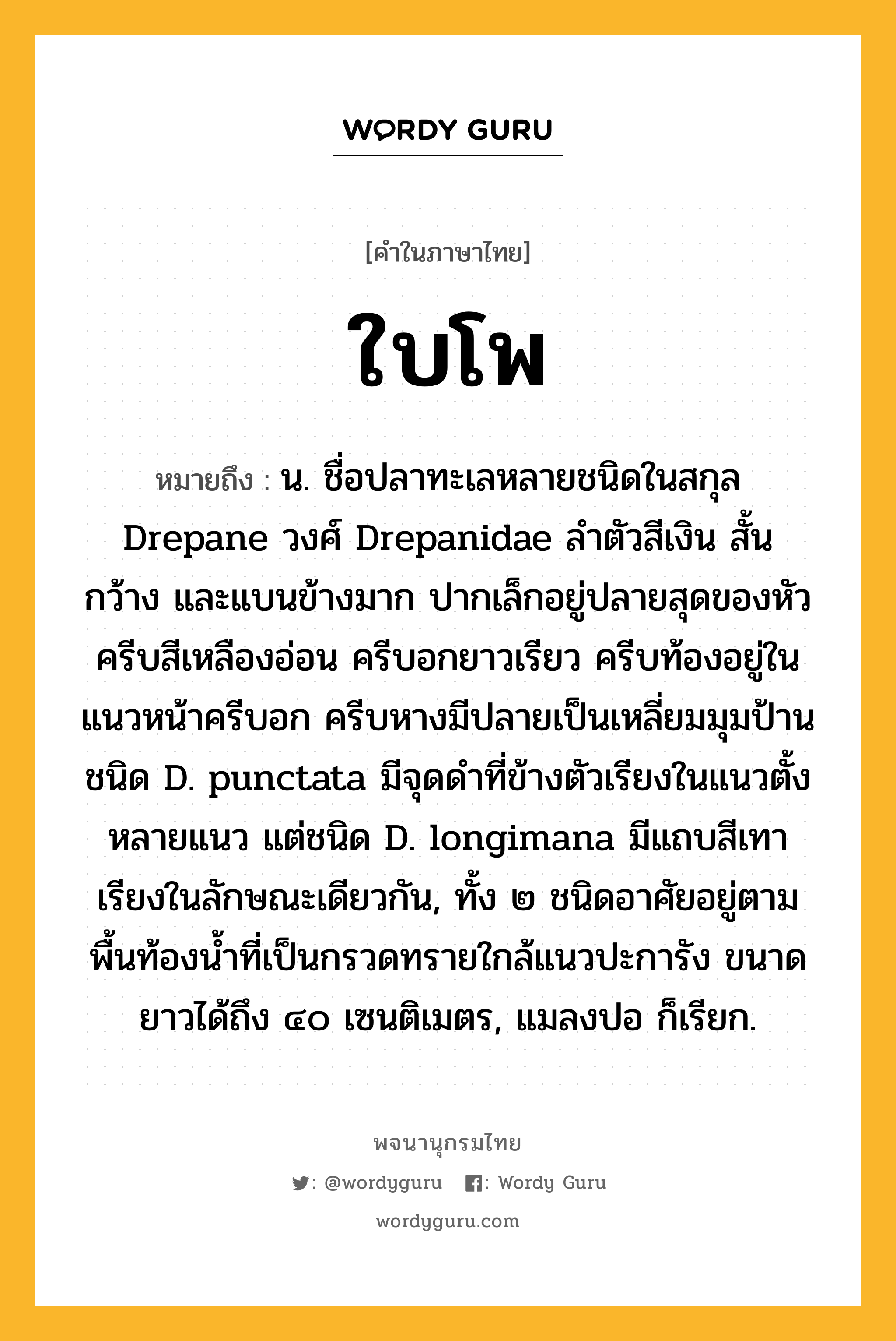 ใบโพ ความหมาย หมายถึงอะไร?, คำในภาษาไทย ใบโพ หมายถึง น. ชื่อปลาทะเลหลายชนิดในสกุล Drepane วงศ์ Drepanidae ลําตัวสีเงิน สั้น กว้าง และแบนข้างมาก ปากเล็กอยู่ปลายสุดของหัว ครีบสีเหลืองอ่อน ครีบอกยาวเรียว ครีบท้องอยู่ในแนวหน้าครีบอก ครีบหางมีปลายเป็นเหลี่ยมมุมป้าน ชนิด D. punctata มีจุดดําที่ข้างตัวเรียงในแนวตั้งหลายแนว แต่ชนิด D. longimana มีแถบสีเทาเรียงในลักษณะเดียวกัน, ทั้ง ๒ ชนิดอาศัยอยู่ตามพื้นท้องนํ้าที่เป็นกรวดทรายใกล้แนวปะการัง ขนาดยาวได้ถึง ๔๐ เซนติเมตร, แมลงปอ ก็เรียก.