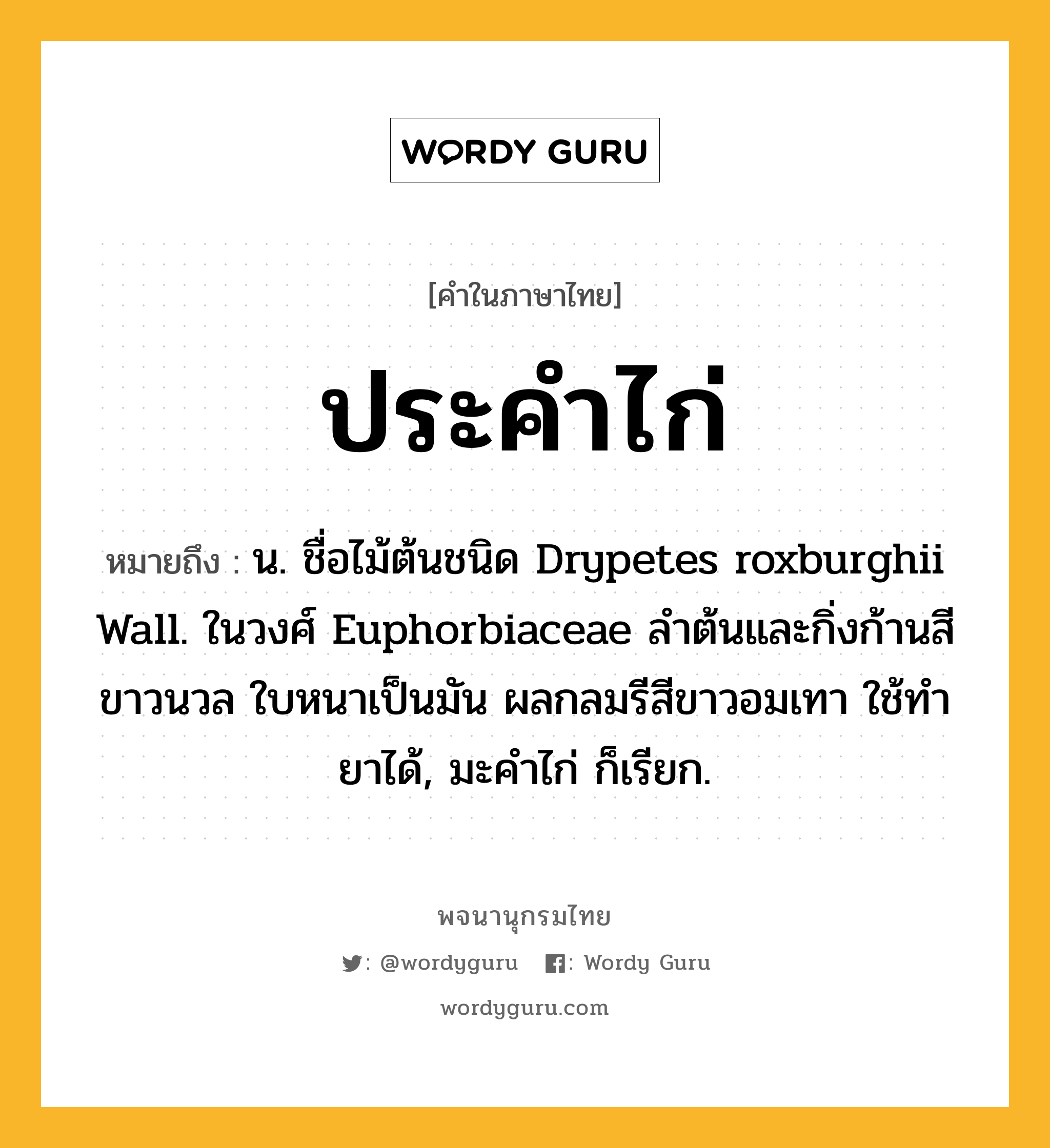 ประคำไก่ ความหมาย หมายถึงอะไร?, คำในภาษาไทย ประคำไก่ หมายถึง น. ชื่อไม้ต้นชนิด Drypetes roxburghii Wall. ในวงศ์ Euphorbiaceae ลําต้นและกิ่งก้านสีขาวนวล ใบหนาเป็นมัน ผลกลมรีสีขาวอมเทา ใช้ทํายาได้, มะคําไก่ ก็เรียก.