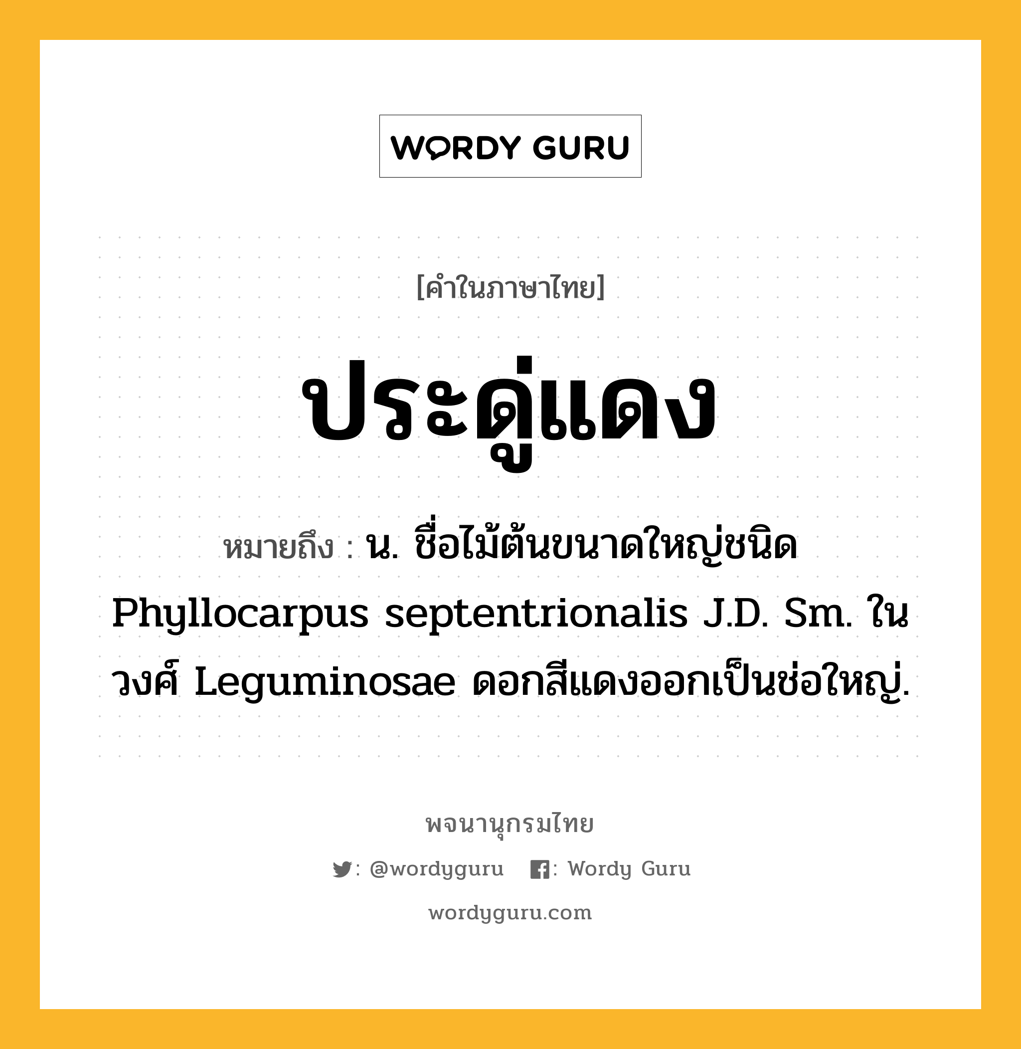 ประดู่แดง ความหมาย หมายถึงอะไร?, คำในภาษาไทย ประดู่แดง หมายถึง น. ชื่อไม้ต้นขนาดใหญ่ชนิด Phyllocarpus septentrionalis J.D. Sm. ในวงศ์ Leguminosae ดอกสีแดงออกเป็นช่อใหญ่.