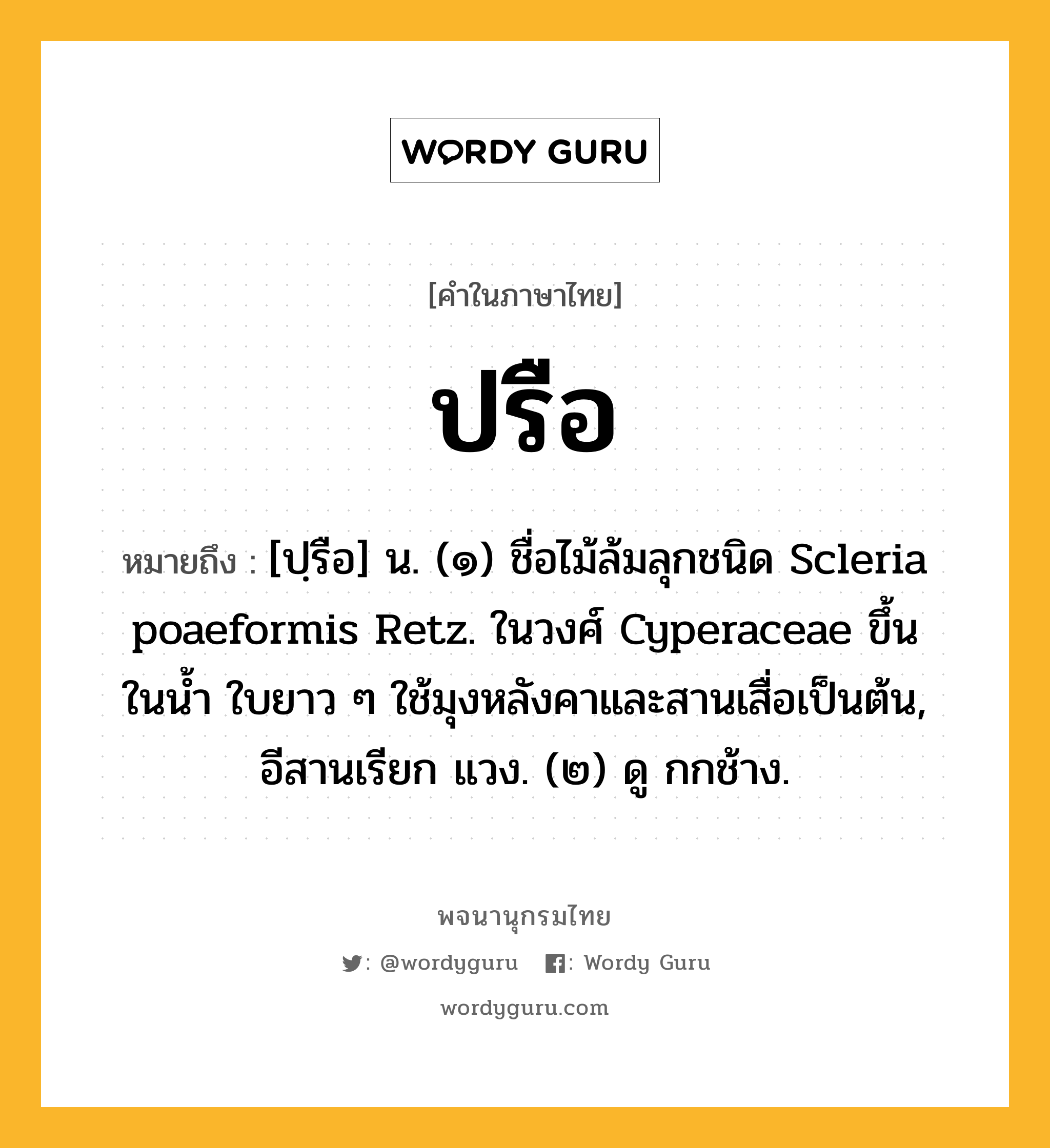 ปรือ ความหมาย หมายถึงอะไร?, คำในภาษาไทย ปรือ หมายถึง [ปฺรือ] น. (๑) ชื่อไม้ล้มลุกชนิด Scleria poaeformis Retz. ในวงศ์ Cyperaceae ขึ้นในนํ้า ใบยาว ๆ ใช้มุงหลังคาและสานเสื่อเป็นต้น, อีสานเรียก แวง. (๒) ดู กกช้าง.