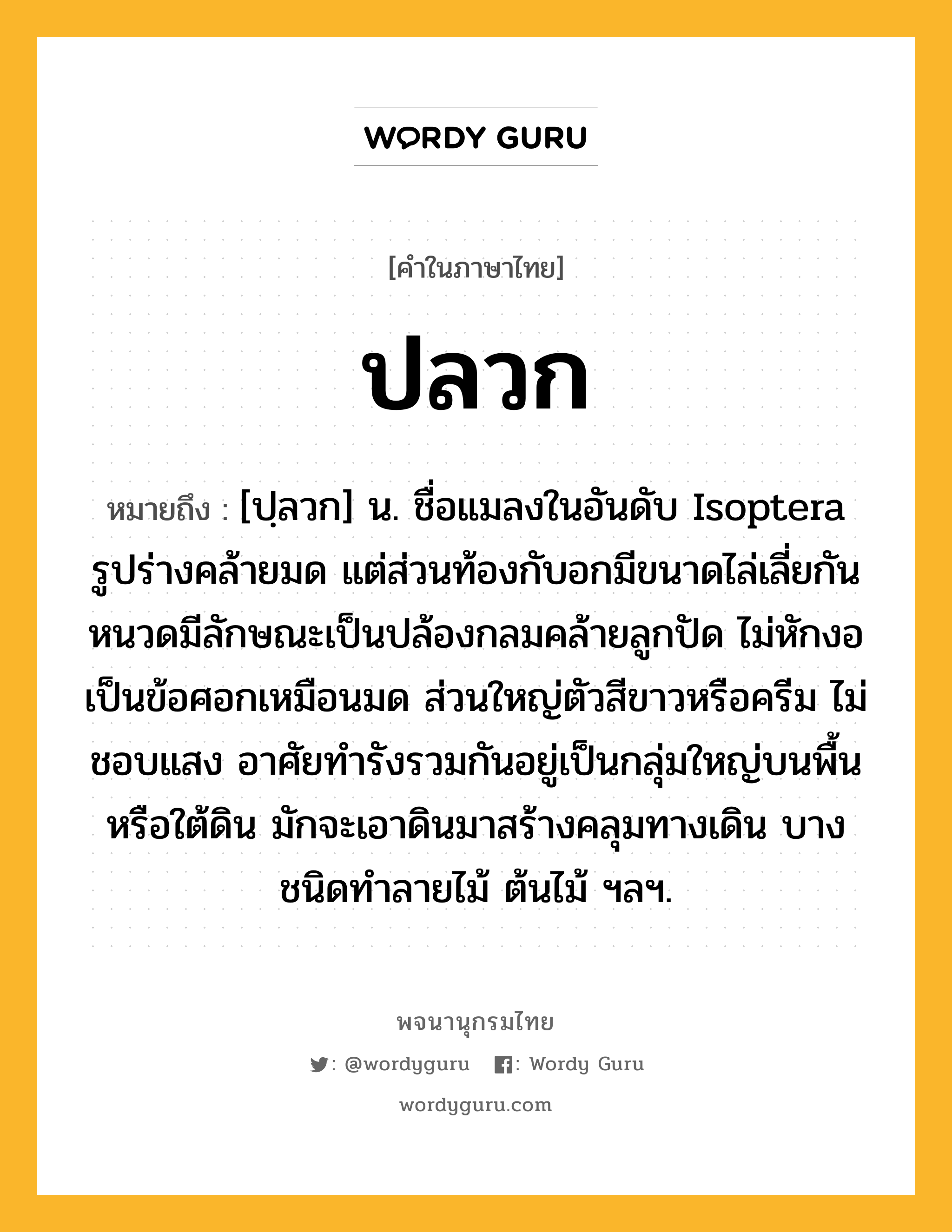 ปลวก ความหมาย หมายถึงอะไร?, คำในภาษาไทย ปลวก หมายถึง [ปฺลวก] น. ชื่อแมลงในอันดับ Isoptera รูปร่างคล้ายมด แต่ส่วนท้องกับอกมีขนาดไล่เลี่ยกัน หนวดมีลักษณะเป็นปล้องกลมคล้ายลูกปัด ไม่หักงอเป็นข้อศอกเหมือนมด ส่วนใหญ่ตัวสีขาวหรือครีม ไม่ชอบแสง อาศัยทํารังรวมกันอยู่เป็นกลุ่มใหญ่บนพื้นหรือใต้ดิน มักจะเอาดินมาสร้างคลุมทางเดิน บางชนิดทําลายไม้ ต้นไม้ ฯลฯ.