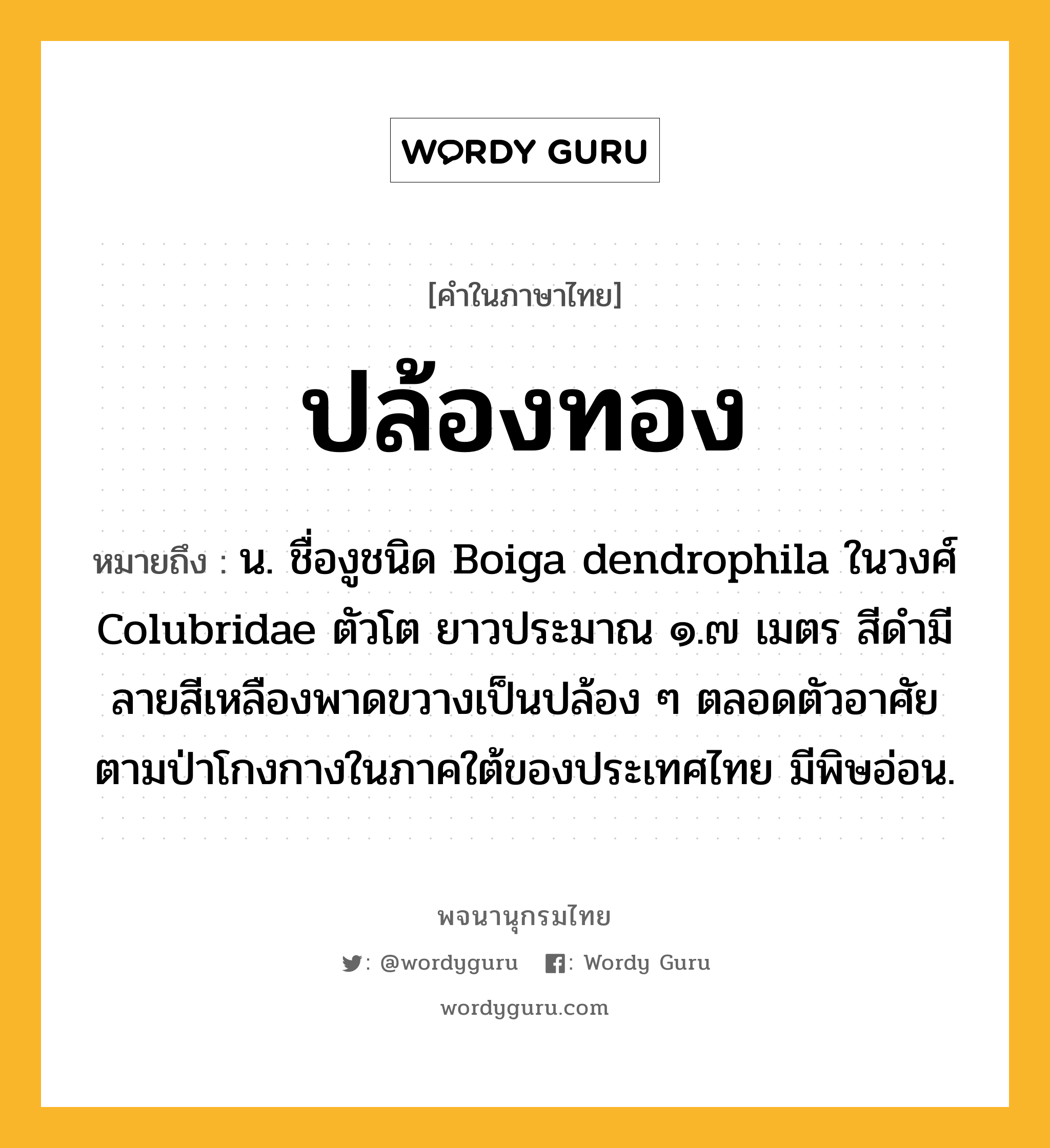 ปล้องทอง ความหมาย หมายถึงอะไร?, คำในภาษาไทย ปล้องทอง หมายถึง น. ชื่องูชนิด Boiga dendrophila ในวงศ์ Colubridae ตัวโต ยาวประมาณ ๑.๗ เมตร สีดํามีลายสีเหลืองพาดขวางเป็นปล้อง ๆ ตลอดตัวอาศัยตามป่าโกงกางในภาคใต้ของประเทศไทย มีพิษอ่อน.