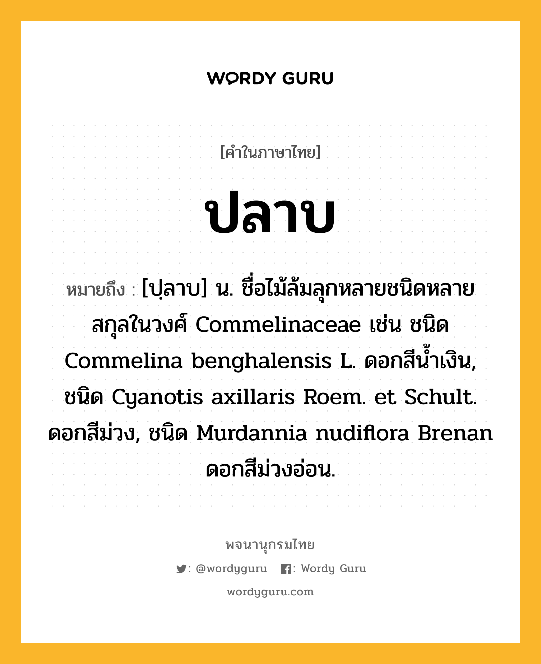 ปลาบ ความหมาย หมายถึงอะไร?, คำในภาษาไทย ปลาบ หมายถึง [ปฺลาบ] น. ชื่อไม้ล้มลุกหลายชนิดหลายสกุลในวงศ์ Commelinaceae เช่น ชนิด Commelina benghalensis L. ดอกสีนํ้าเงิน, ชนิด Cyanotis axillaris Roem. et Schult. ดอกสีม่วง, ชนิด Murdannia nudiflora Brenan ดอกสีม่วงอ่อน.